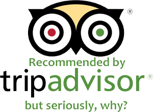 trip advisor