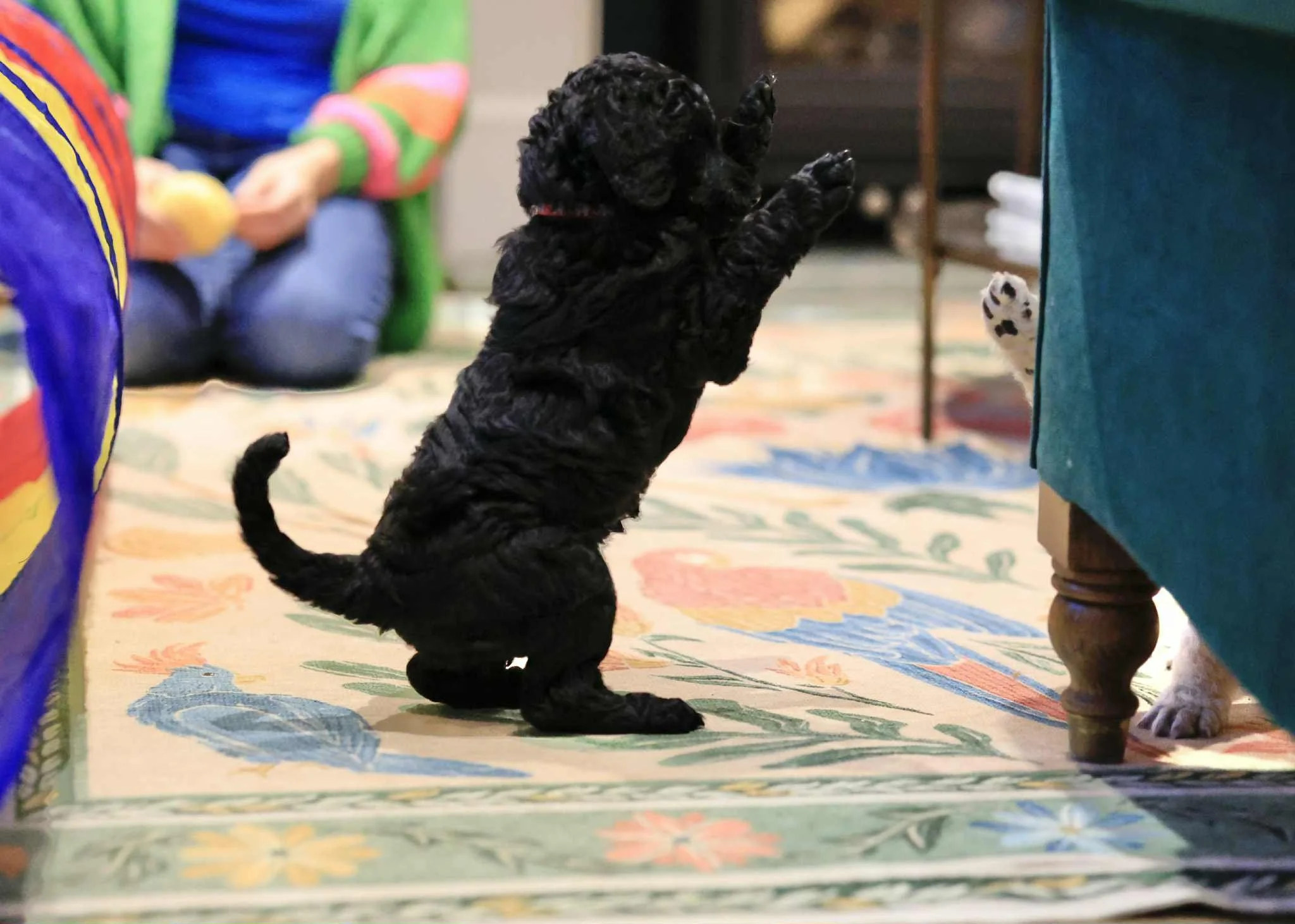 att.timvl4-tMgyY8agb86-ZDbmoyK55qu02ftqE2L0Q2Bg 2.JPG