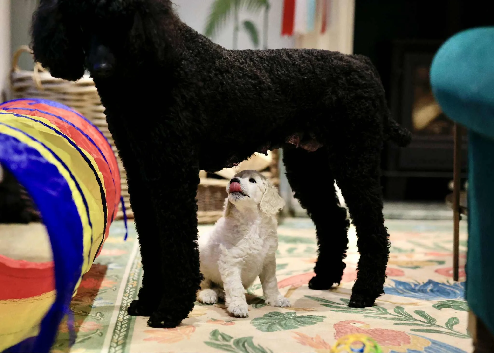 att.UL4rjpBIOcy95L34EV1G3fS77NY-15H7swS7AwehhUM 2.JPG