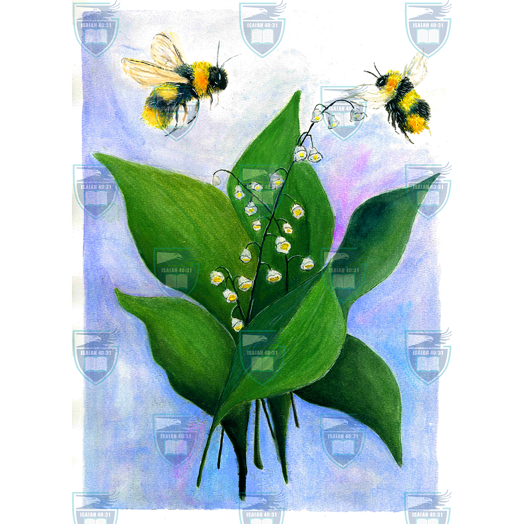 Lily of the Valleys WM.png
