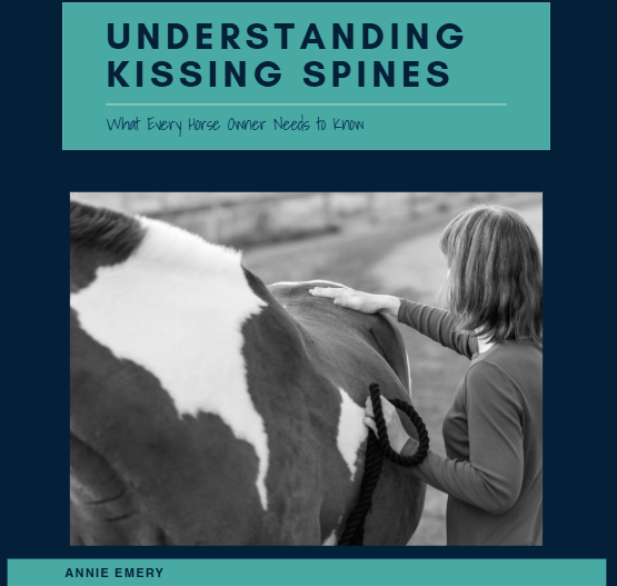 Kissing Spines: What Every Owner Needs to Know