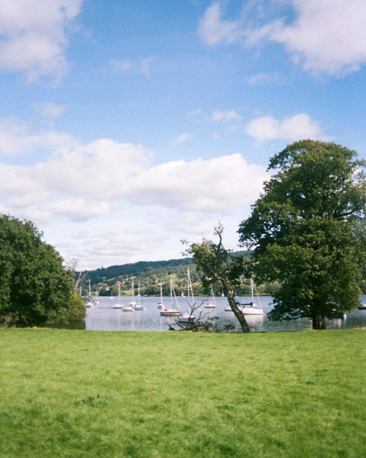 Peaceful •
#portra400 #kodak #ektarh35