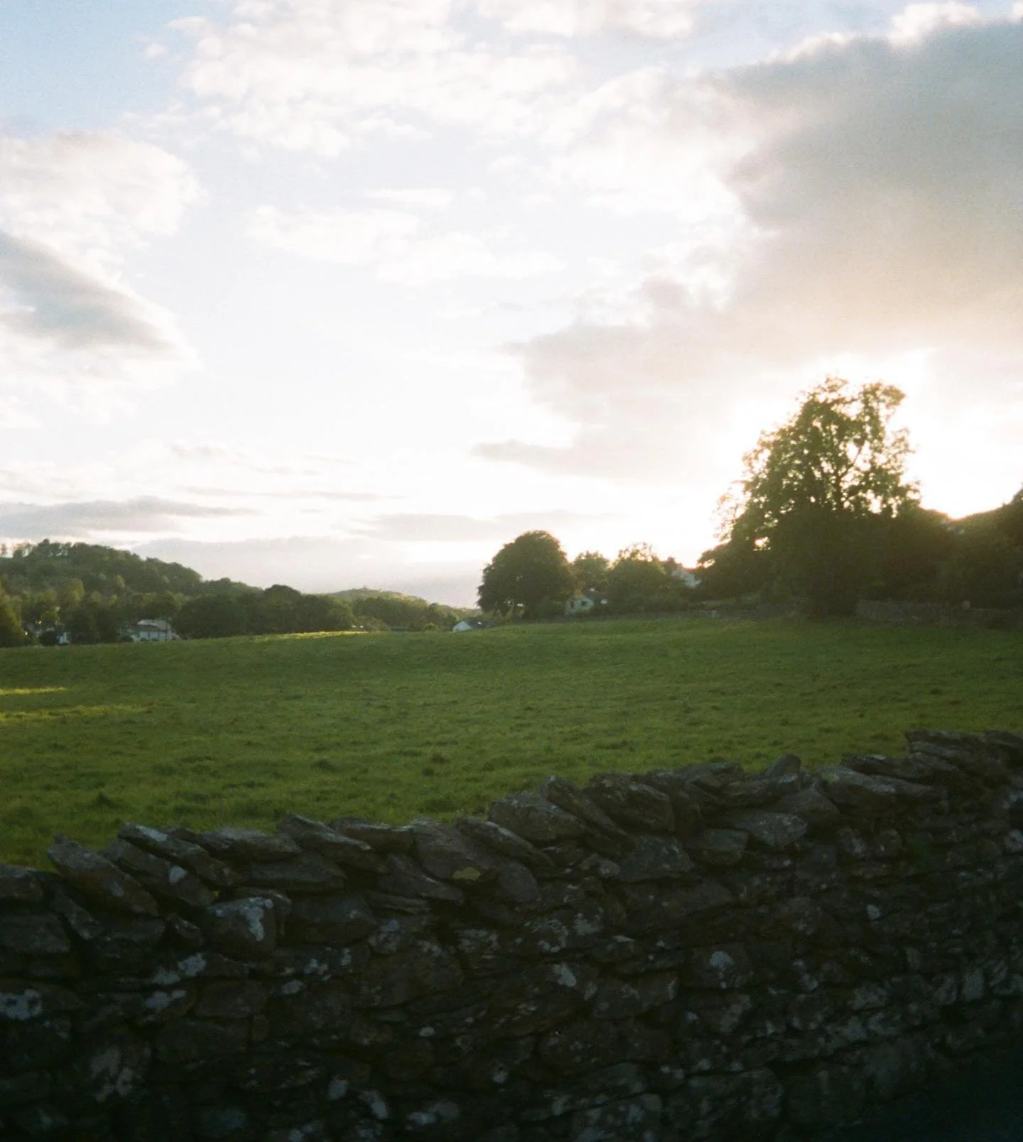 Opposite the house •
#portra400 #kodak #ektarh35