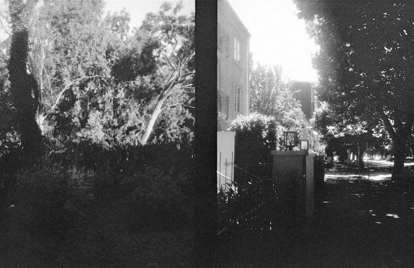 Melbourne no.10 

37&deg;48&rsquo;58&rdquo;S 14458&rsquo;40&rdquo;E

#kodakektarh35&nbsp;#harmanred&nbsp;#blackandwhite