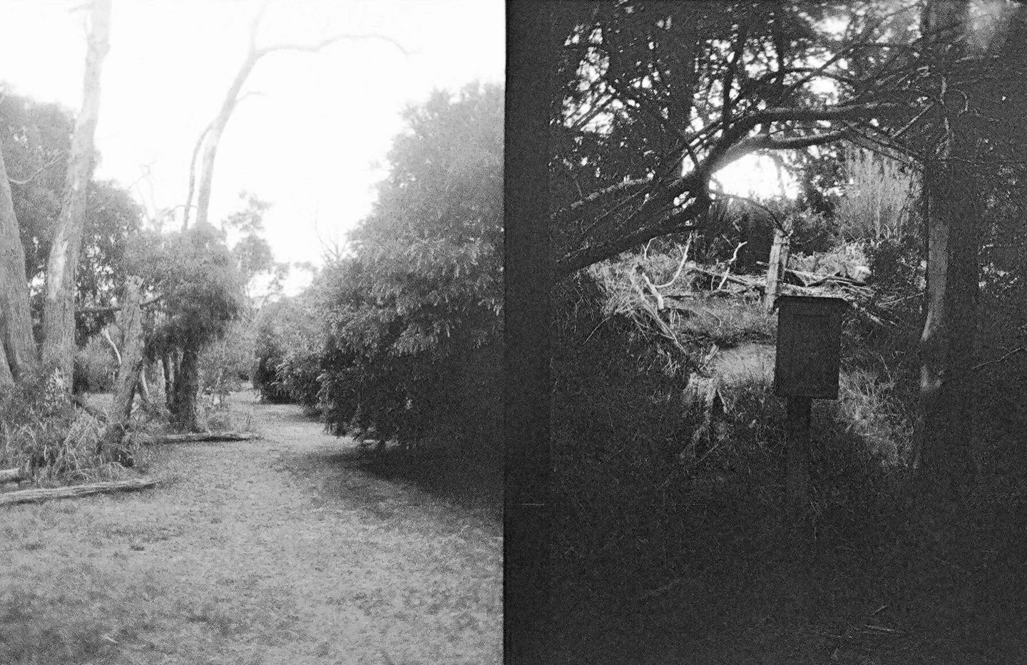 Melbourne no.16

38&deg;11&rsquo;32&rdquo;S | 145&deg;06&rsquo;23&rdquo;E

#kodakektarh35&nbsp;#harmanred&nbsp;#blackandwhite