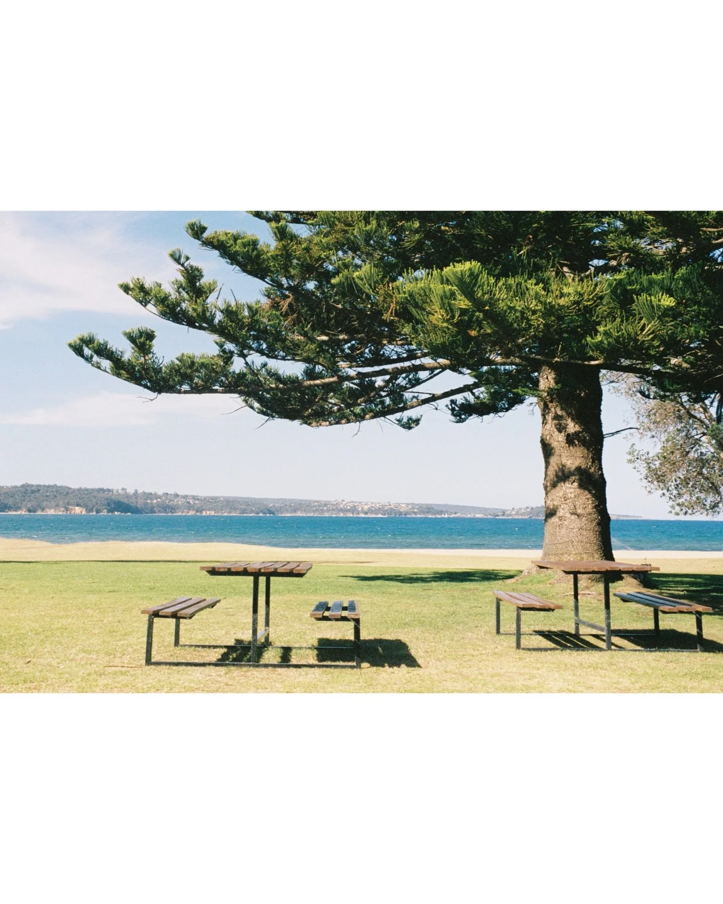 Boydtown

37&deg;06&rsquo;11.66 S | 149&deg;52&rsquo;49.34&rdquo; E

#leicar3 #kodakgold400 #onfilm&nbsp;#analog&nbsp;#filmgrain