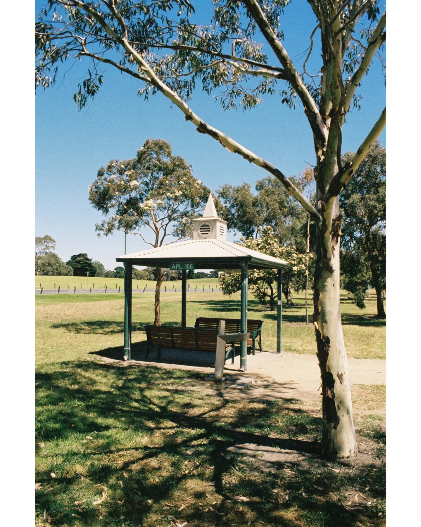 Melbourne no.28 

37&deg;50&rsquo;30.16&rdquo; S | 144&deg;58&rsquo;16.42&rdquo; E 

#leicar3&nbsp;#kodakgold400 #onfilm&nbsp;#analog&nbsp;#filmgrain