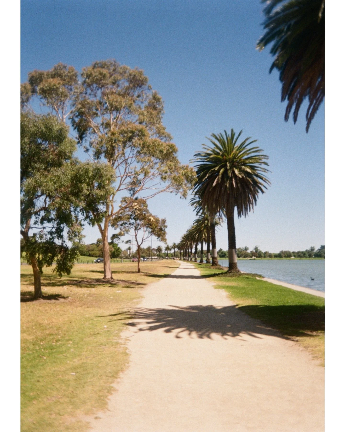 Melbourne no. 30 

37&deg;50&rsquo;31.12&rdquo; S | 144&deg;58&rsquo;15.81&rdquo; E

#kodakektarh35&nbsp;#kodakgold400&nbsp;#onfilm&nbsp;#analog&nbsp;#filmgrain
