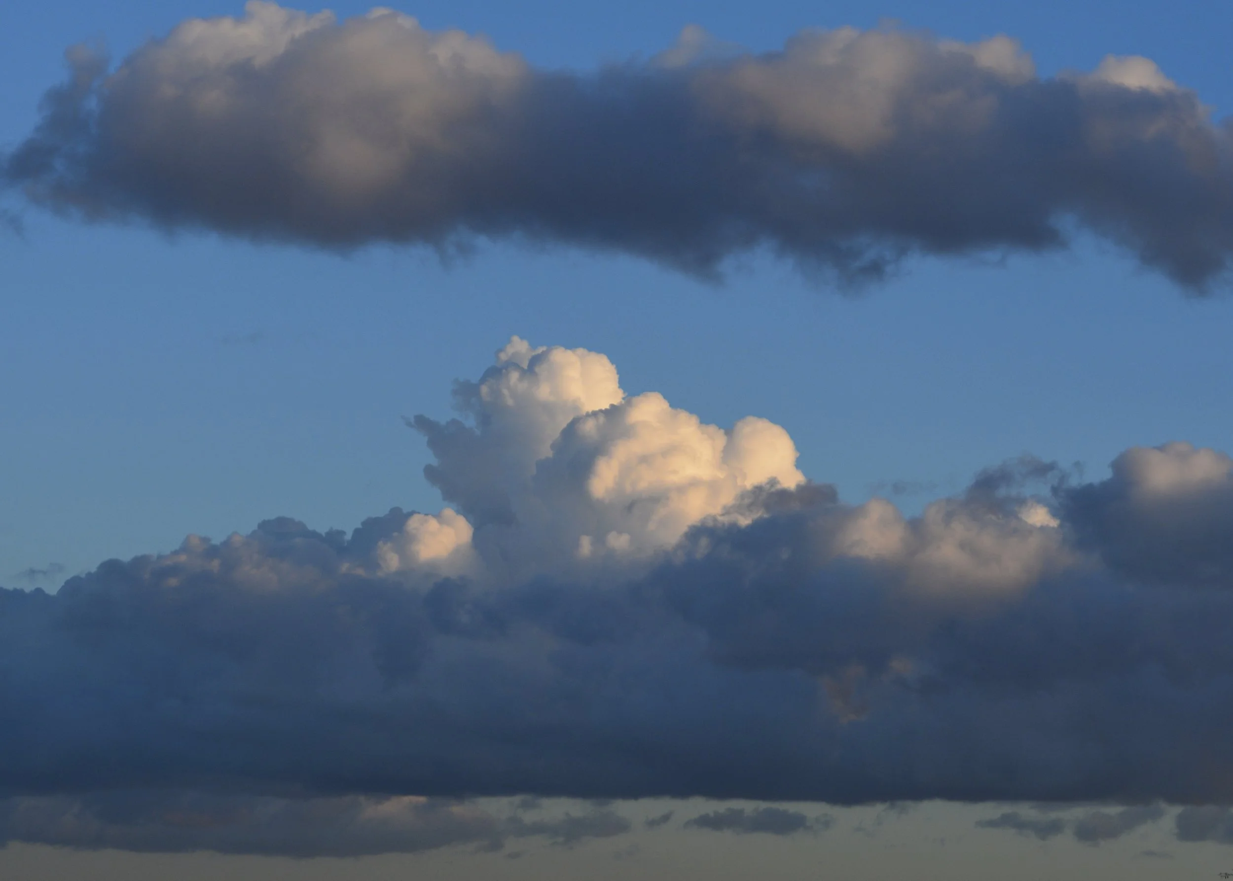 Ross's camera 014.jpeg