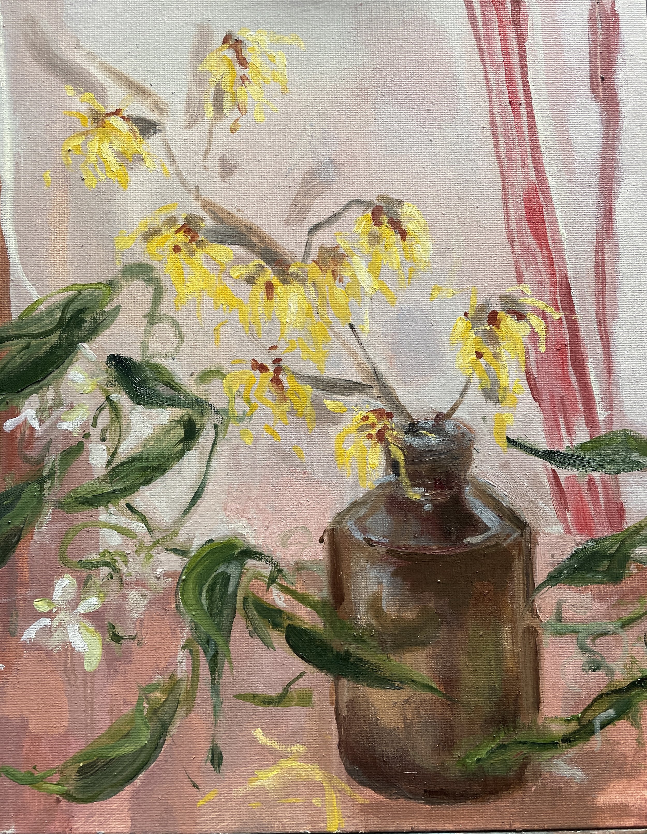 Witch hazel and clematis vine, oil on canvas panel, 25 x 30cm