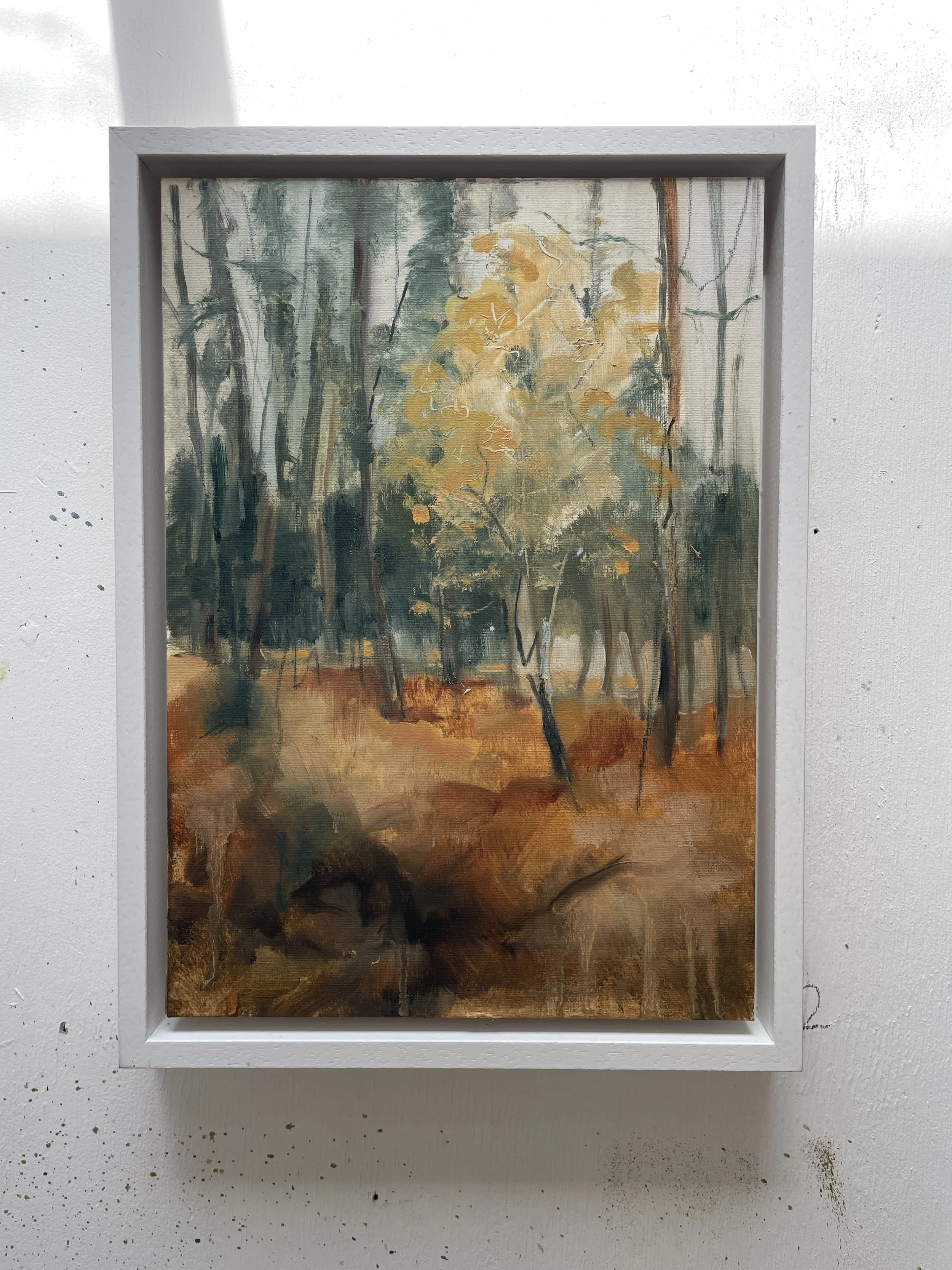 Silver birch in yellow leaf oil on card framed 21x29cm was £350 sale price £230