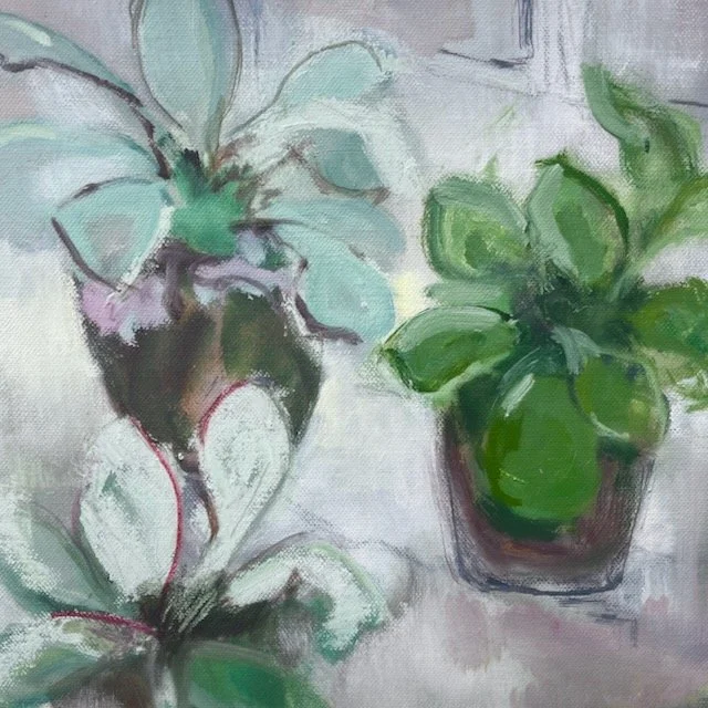 Succulents in the greenhouse oil on canvas 30x30cm