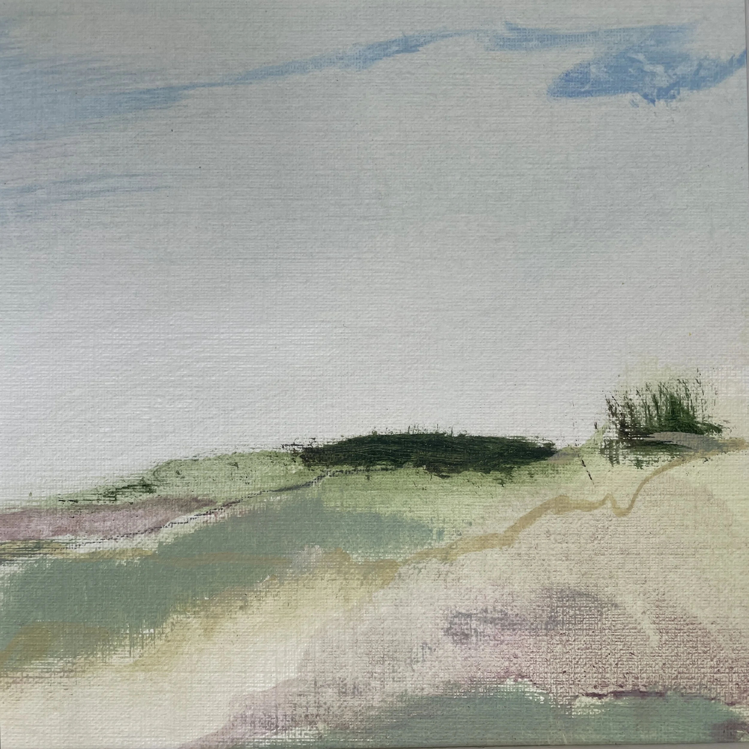 Wildflower meadow 2, oil on paper supplied in 40x40cm mount ready to frame. Was £150 sale price £80