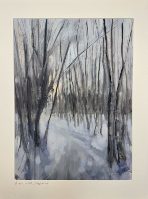 Birchwood, Lappland. Oil on paper, framed in white wood and glass. 50x60cm. Was £700, SALE £400