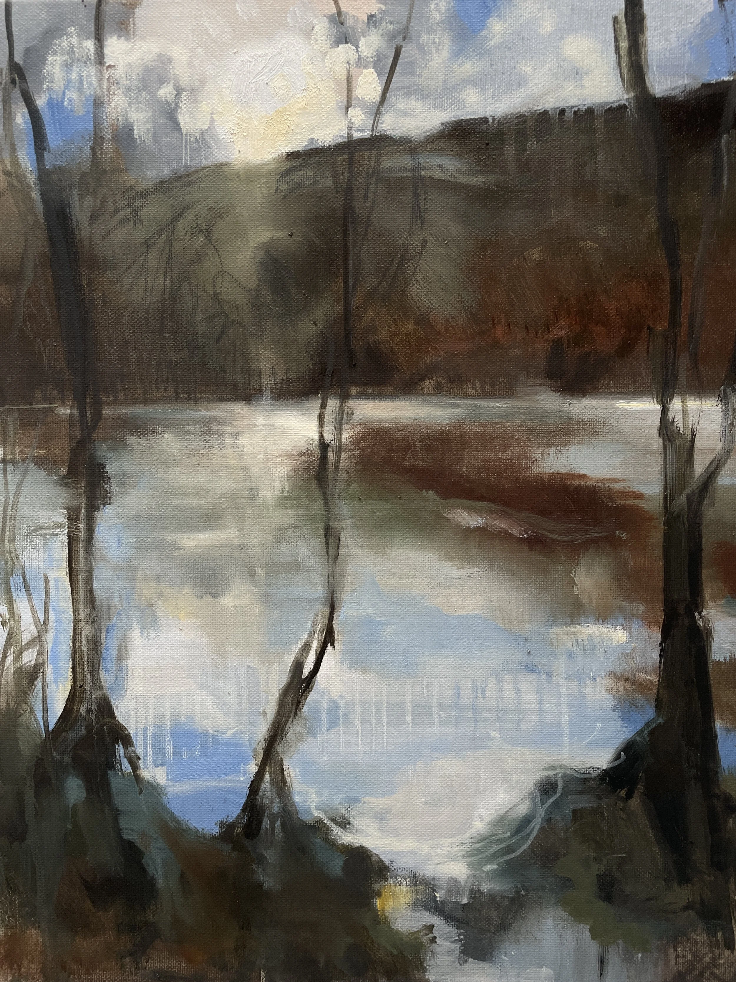 What becomes, oil on canvas 40x50cm