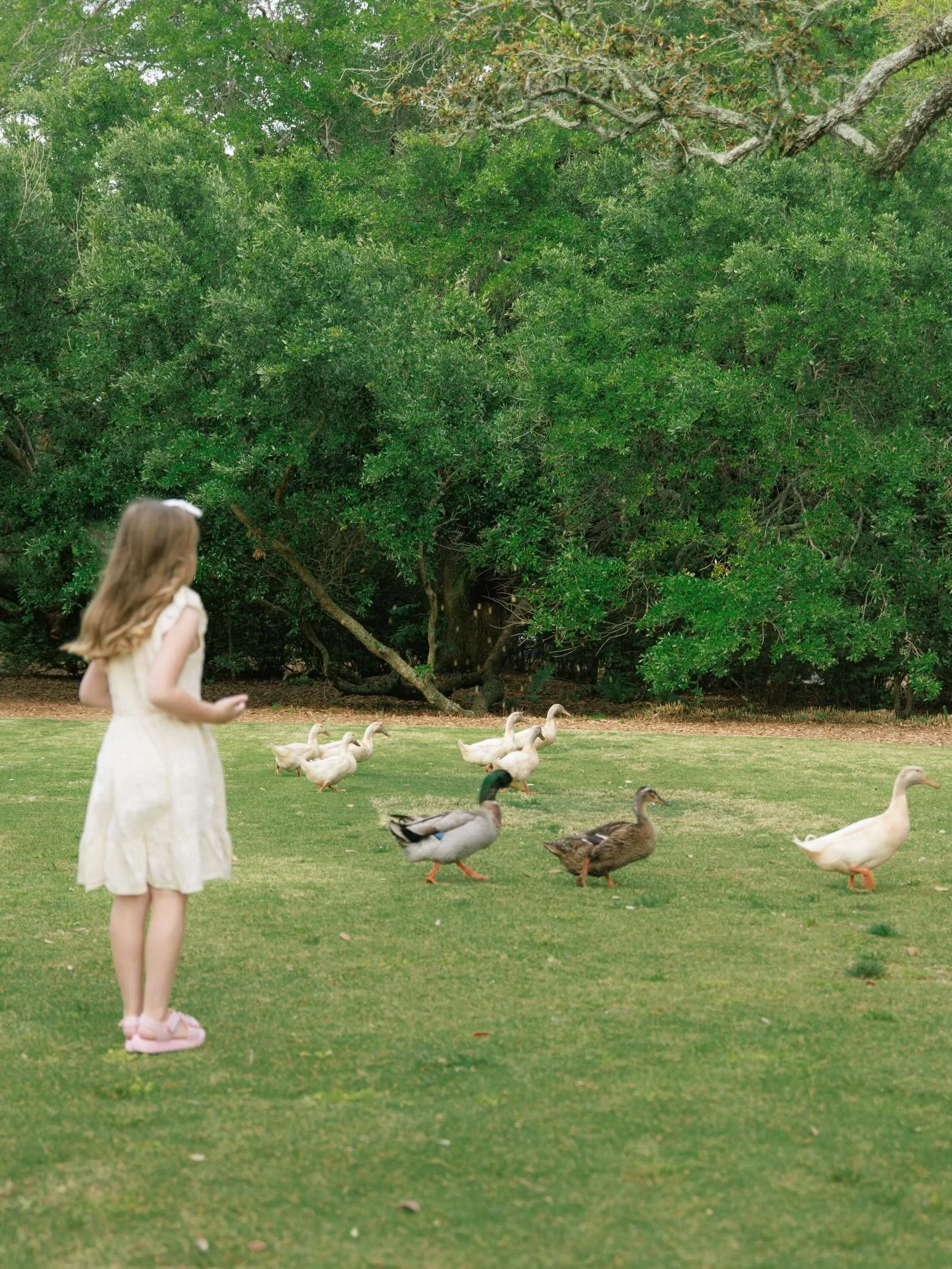 your family - exactly how they are 

a beautifulllll afternoon at the grand hotel in fairhope 💘 shot on 35mm &amp; digital, which one is your favorite?