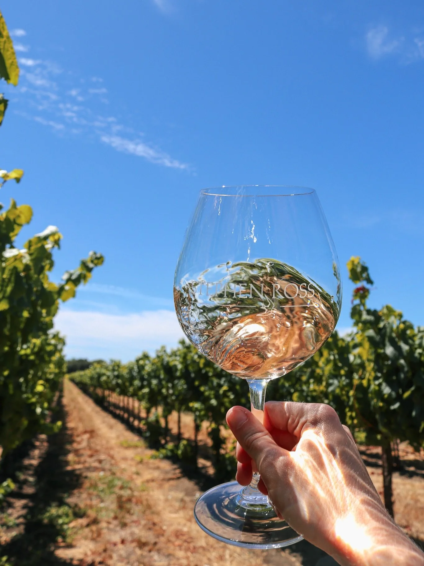🍂 Our October Wine Club release is just around the corner! Members, get ready for some fall favorites coming your way soon ✨

Not a member yet? Join today to make sure you don&rsquo;t miss this season&rsquo;s wines, fresh from the vineyard 🌿🥂
&bul