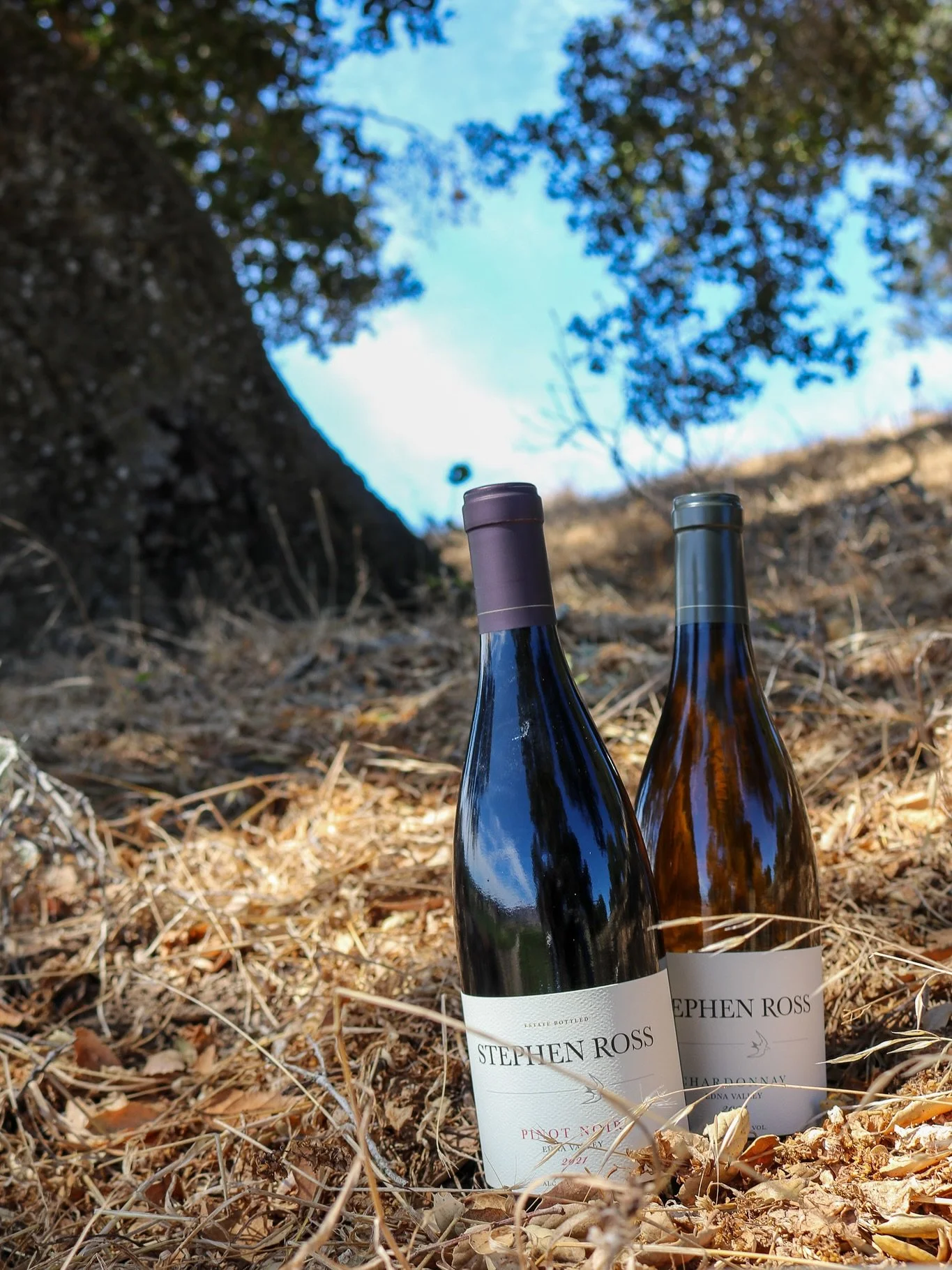 Two wines, one valley 

✨ 2023 Chardonnay &mdash; pale straw in the glass, with aromas of Fuji apple, Asian pear, and baking spice, finishing with a refreshing minerality. 

🍒 2021 Pinot Noir &mdash; silky and seamless, layered with cherry preserves
