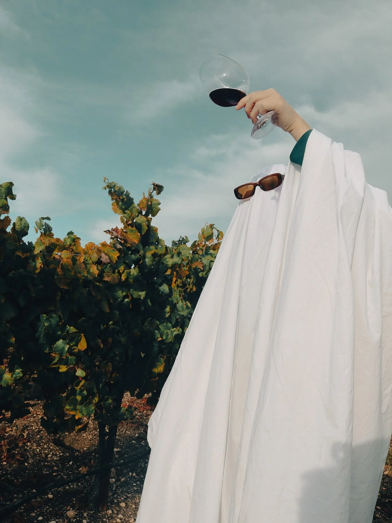 Ghost photo dump π» because one post wasn’t enough!
Who’s got their Halloween costumes ready? π Tell us what you’re being in the comments below!π
•
•
•
#winetime #stephenrosswine #costumeinspo #ghosttrend #hallowee