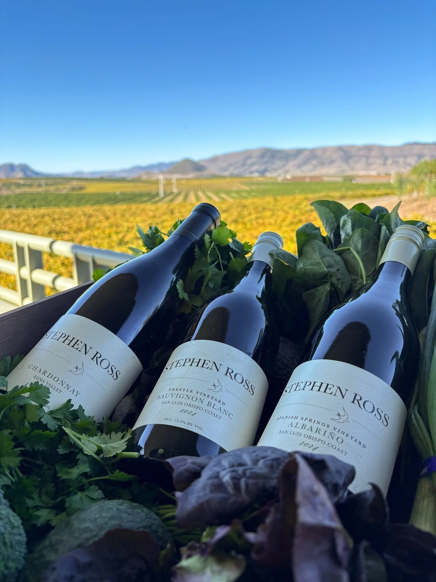 Our Holiday Bundles are officially live! ❄️✨

Curated selections, built for gifting, and available with special seasonal pricing. 

From cozy Pinot Noirs to crisp, aromatic whites, there&rsquo;s a bundle for everyone on your list. 🫂

Shop them all n