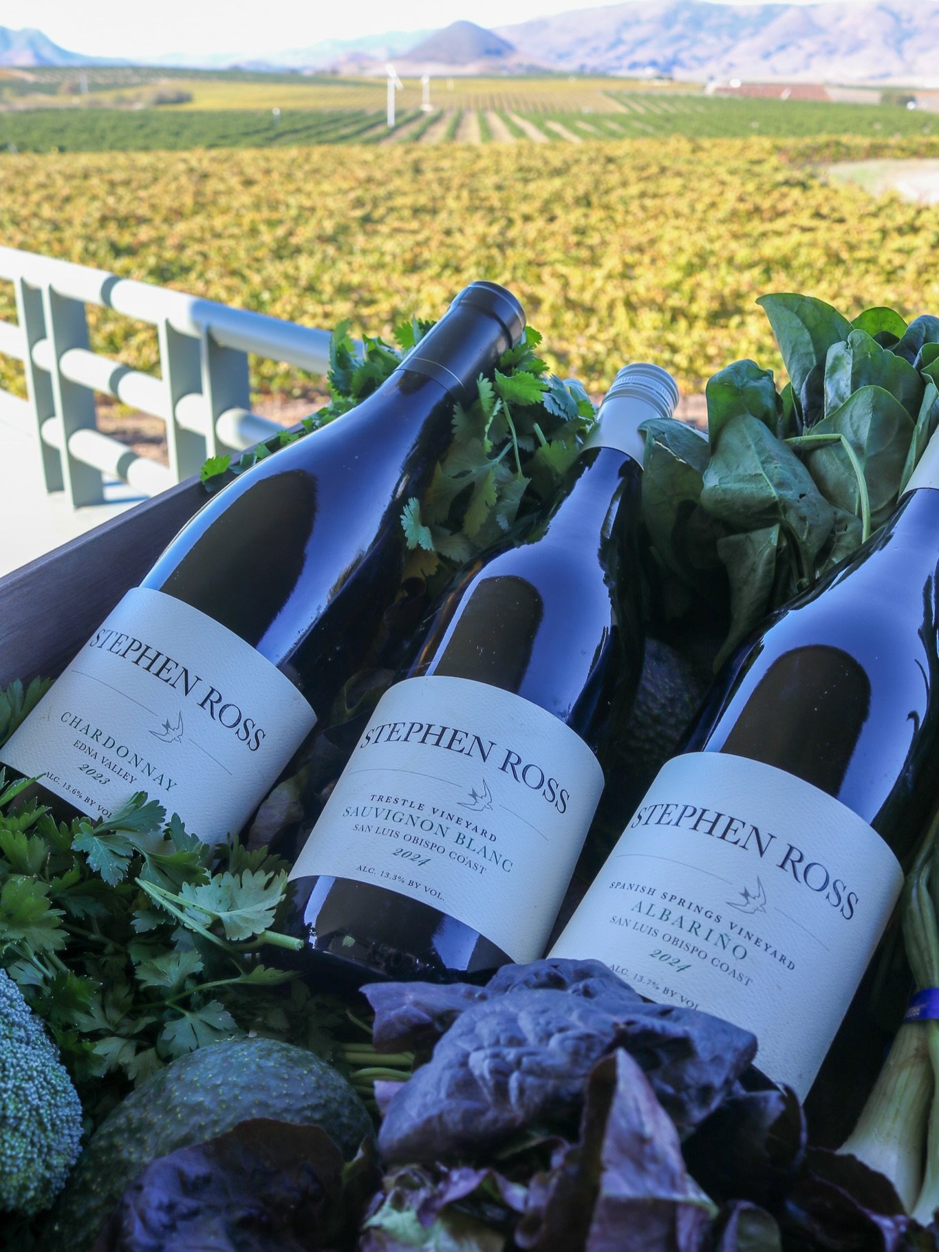 For the ones who love something fresh, floral, and a little bit zingy. 

Our aromatic whites, trio &mdash; Albari&ntilde;o, Sauvignon Blanc, and Chardonnay &mdash; is here for every cheeseboard, brunch, and quiet winter afternoon.

P.S. We&rsquo;ve g