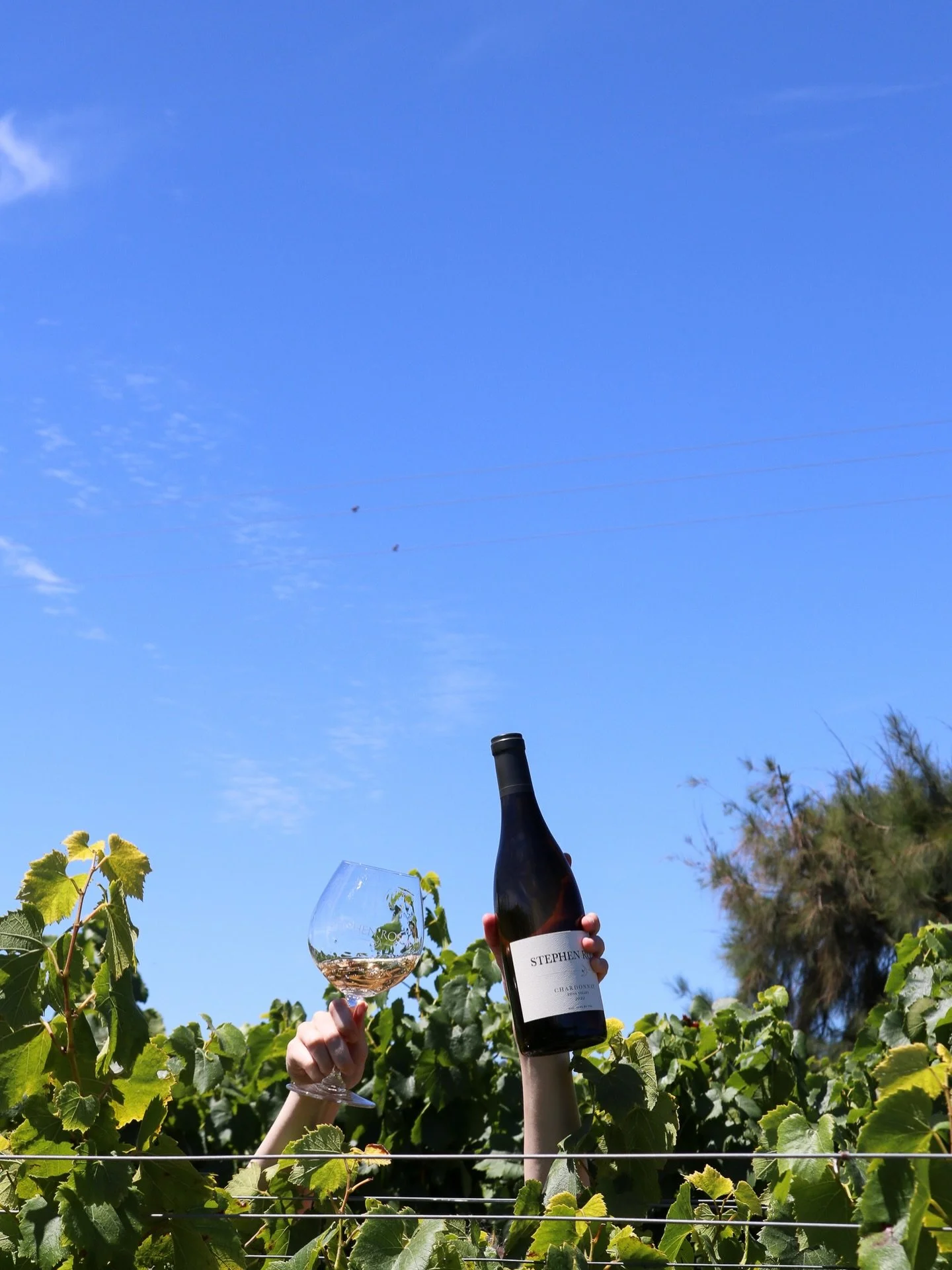 Members, don&rsquo;t forget about our Pick-Up Party on Saturday, March 14 from 4:30-6:30 🍷

Join us for light bites by @brickandmortarcateringcompany , great wine, and music by @paintedredmusic as you mingle, sip, and pick up your latest release. 

