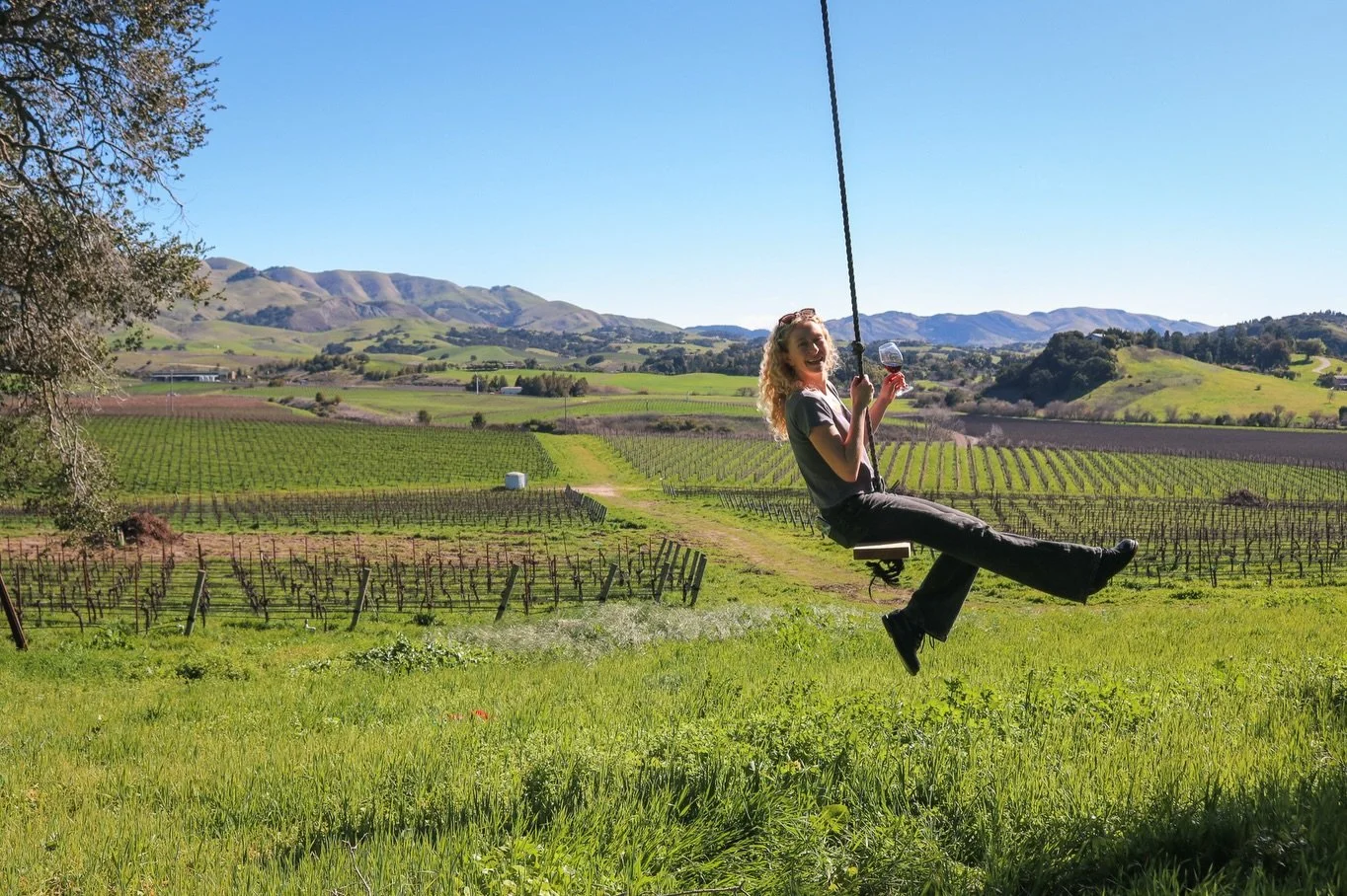 Swing into a good time 🌼🥂

Our Spring Wine Club Pick-Up party is this Saturday! 
Members, join us March 14 from 4:30-6:30 for light bites, music by @paintedredmusic , great wine, and a chance to gather and pick up your latest release. 

We can&rsqu