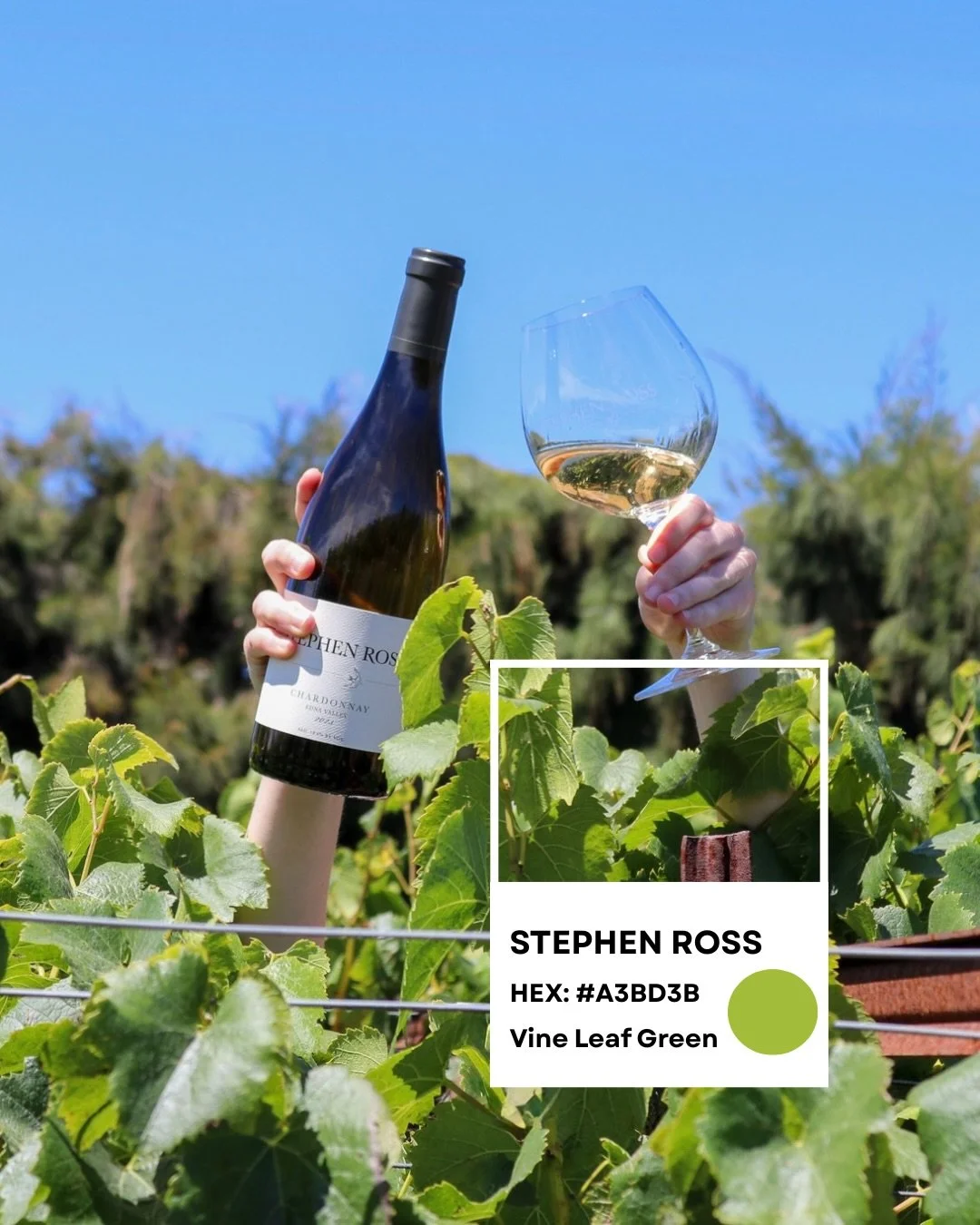 Stephen Ross in color 🖍️
&bull;
&bull;
&bull;
#stephenrosswine #pantonecolors #hexcodes #winecolors #winelovers