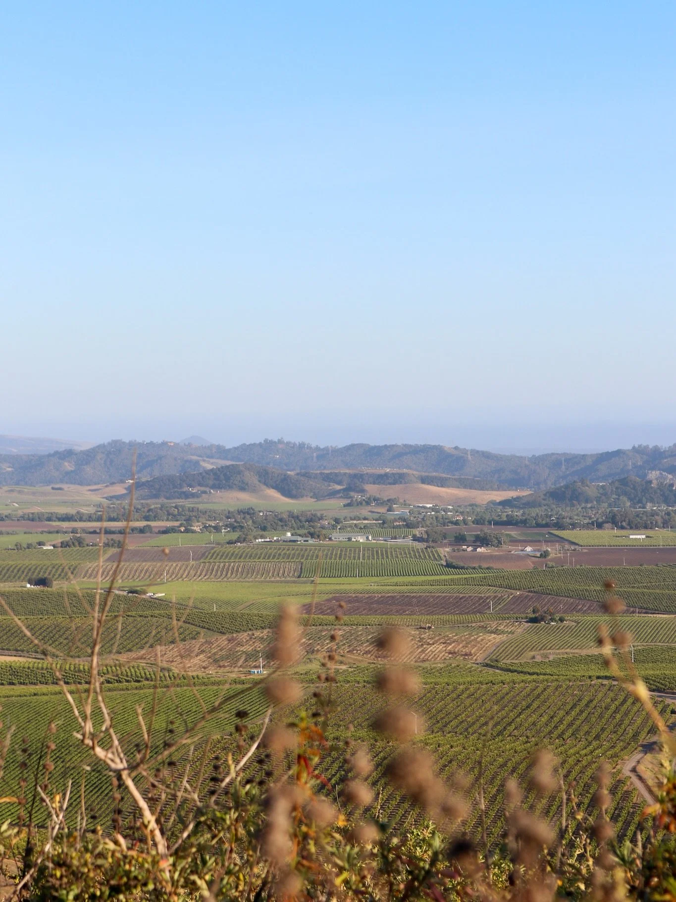 @seeyouatedna from Islay Hill

Stay tuned&hellip; big things coming soon
&bull;
&bull;
&bull;
#slocoastwine #slocal #winecountry #newopening #edna