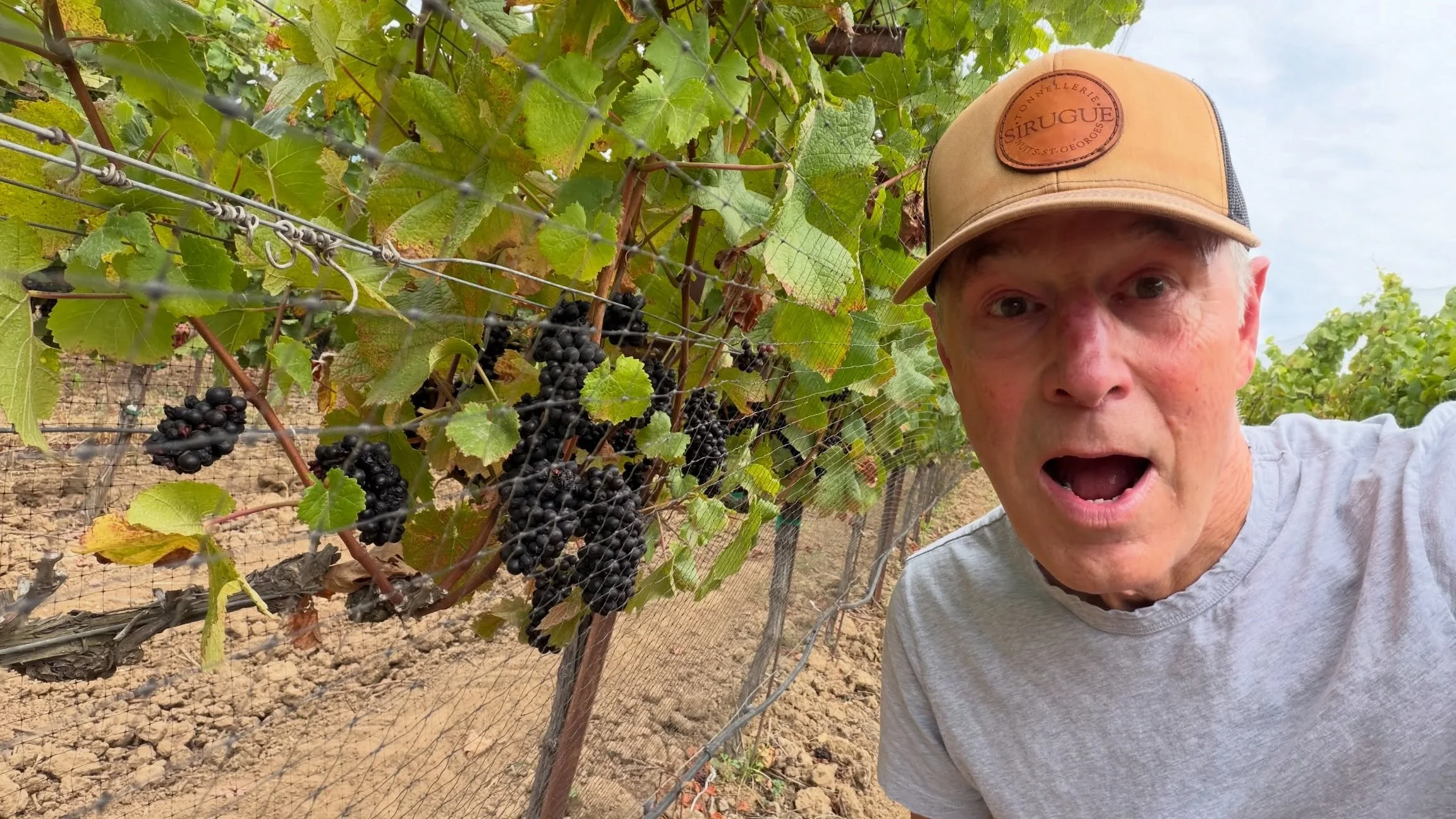 With our earliest pick date in 50 years, harvest begins! 🍇

Today marks the first pick of the 2026 harvest as Pinot Noir from Trestle Vineyard at @calpoly heads to the winery for our Pinot Noir Blanc. Running nearly seven weeks ahead of last year&rs