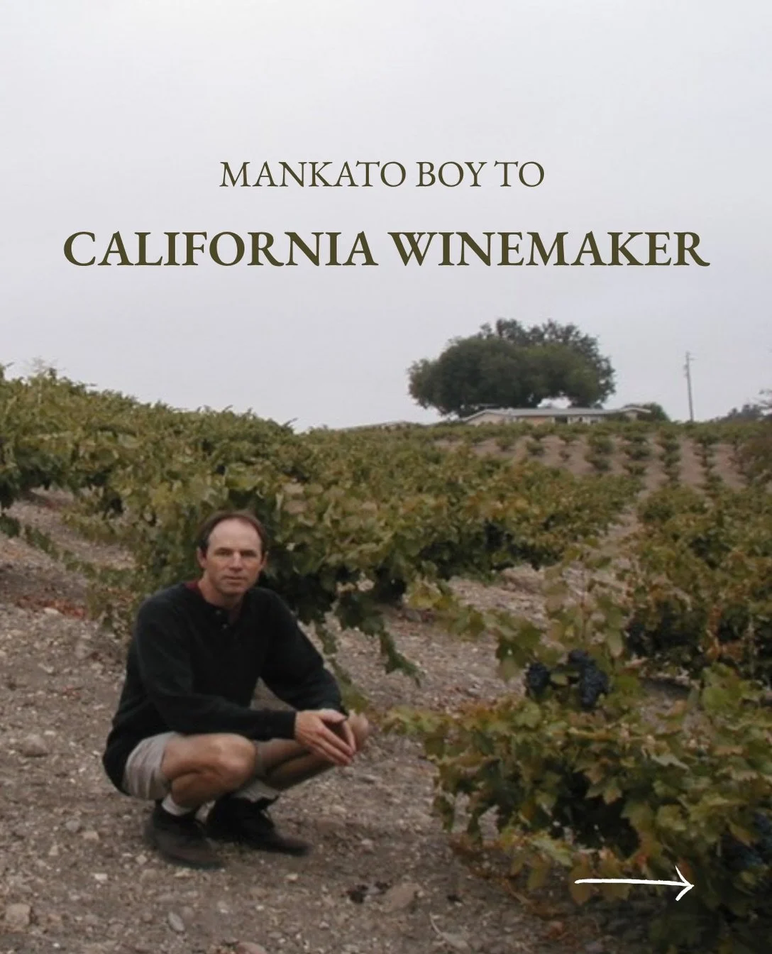 Every winemaker has a story. Steve&rsquo;s starts long before the first vintage of Stephen Ross Wine Cellars. 

From a Minnesota kid with a curiosity for wine, to a UC Davis grad, and then onto winemaking experiences around the world and ultimately t