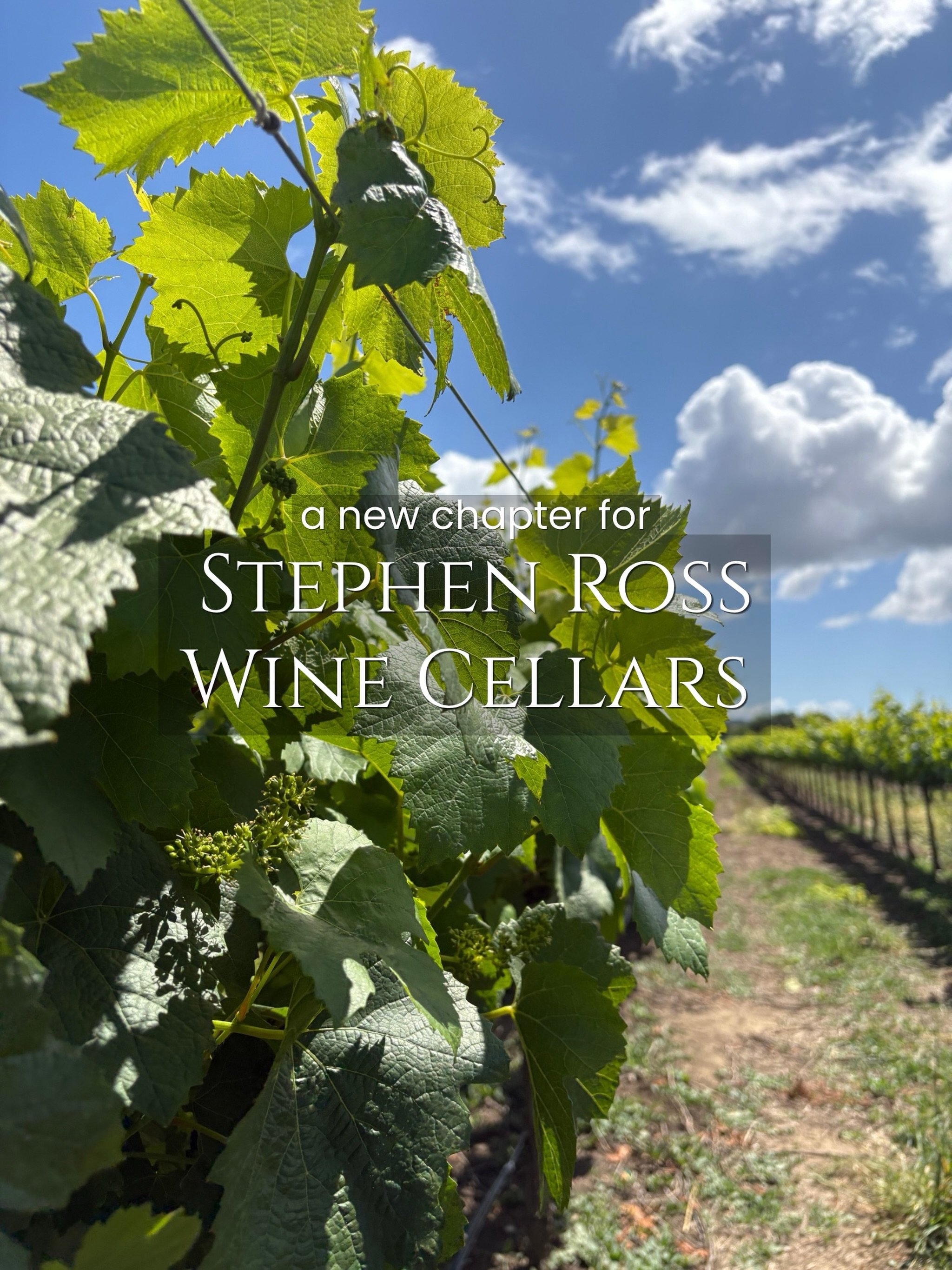 A new chapter for Stephen Ross Wine Cellars. 

As of September 18, Stephen Ross Wine Cellars is no longer at the EDNA location. 

Our focus remains the same: making wines we love, working with the vineyards and crews who inspire us, and continuing to