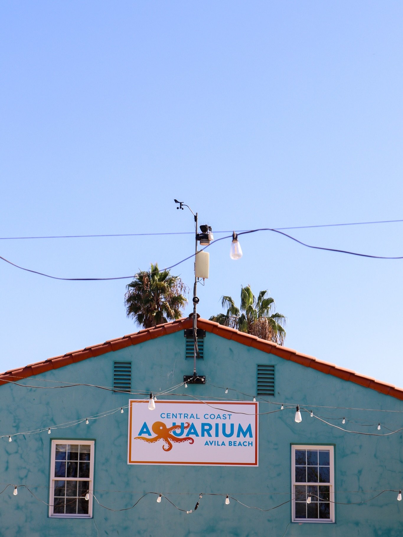 A little wine, some ocean air, and an afternoon together on the coast 🥂

We&rsquo;re looking forward to welcoming our 2026 Barrel Adopters to the Central Coast Aquarium in Avila Beach for a relaxed afternoon celebrating another year of membership. 
