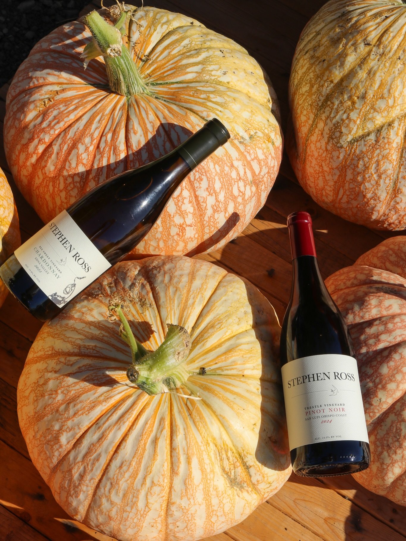 Fall looks a little different on the SLO Coast. Think crisp coastal evenings, golden afternoon light, and a favorite bottle ready to open. 

We stopped by @thepumpkinpatchslo for a seasonal photo moment, and it&rsquo;s worth adding to your fall outin