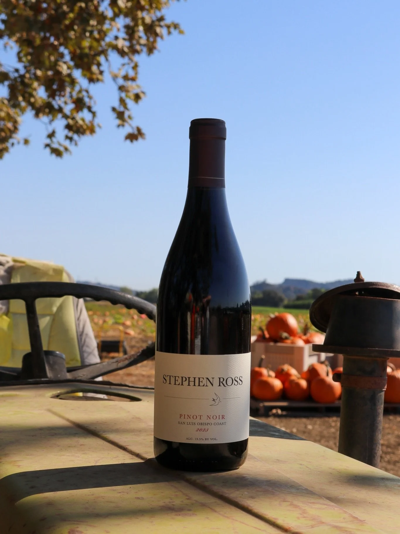 Rooted in the coast, made for the table. 

Our SLO Coast Pinot Noir captures the character of the region we call home. It&rsquo;s a reminder that great wine begins with a sense of place, and the best bottles have a way of finding their place at the t