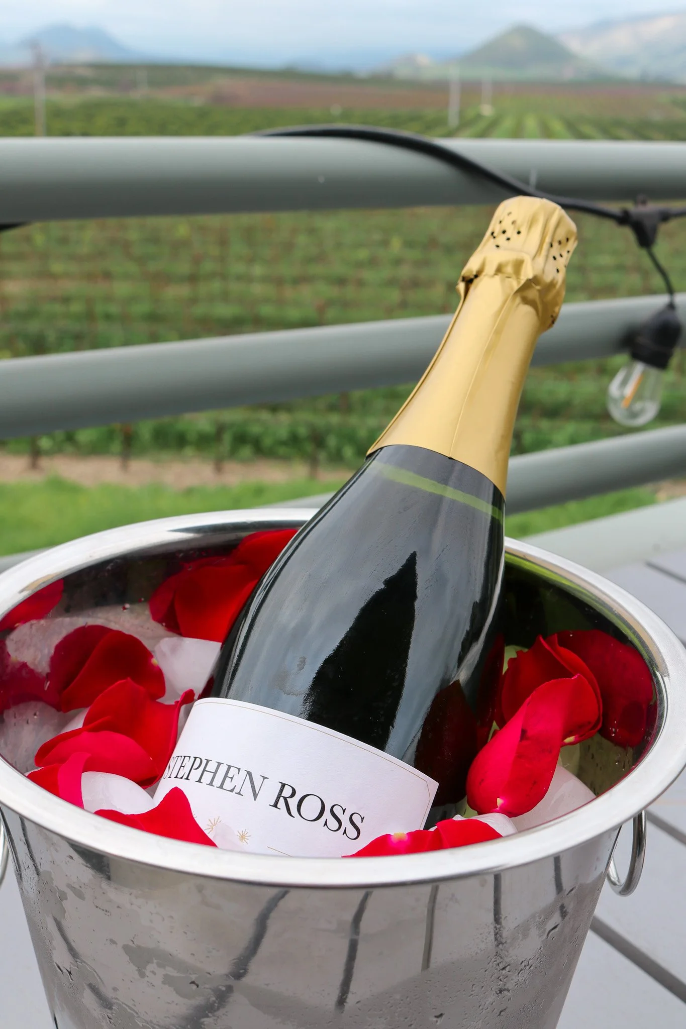 Stephen Ross Blanc de Noir sparkling wine in an ice bucket with rose petals