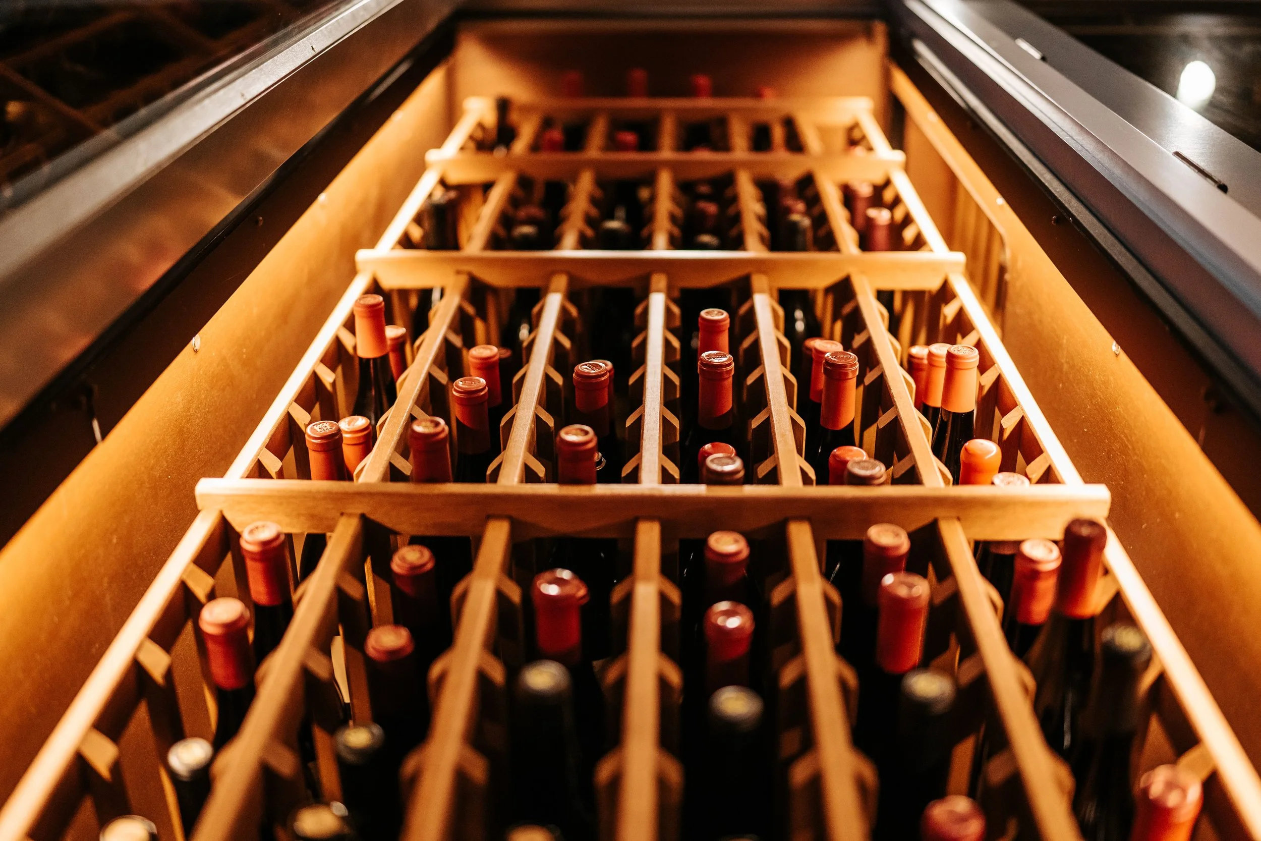 Bottles sit upright in a lit casing