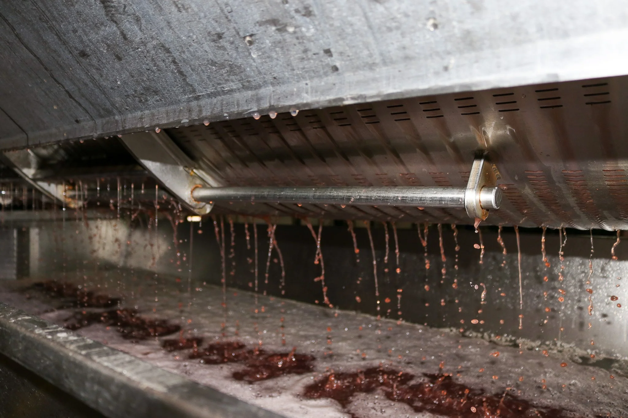 Juice from fresh pressed grapes run down the machinery, pooling at the base