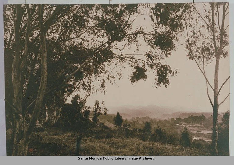 Upper view of the Canyon