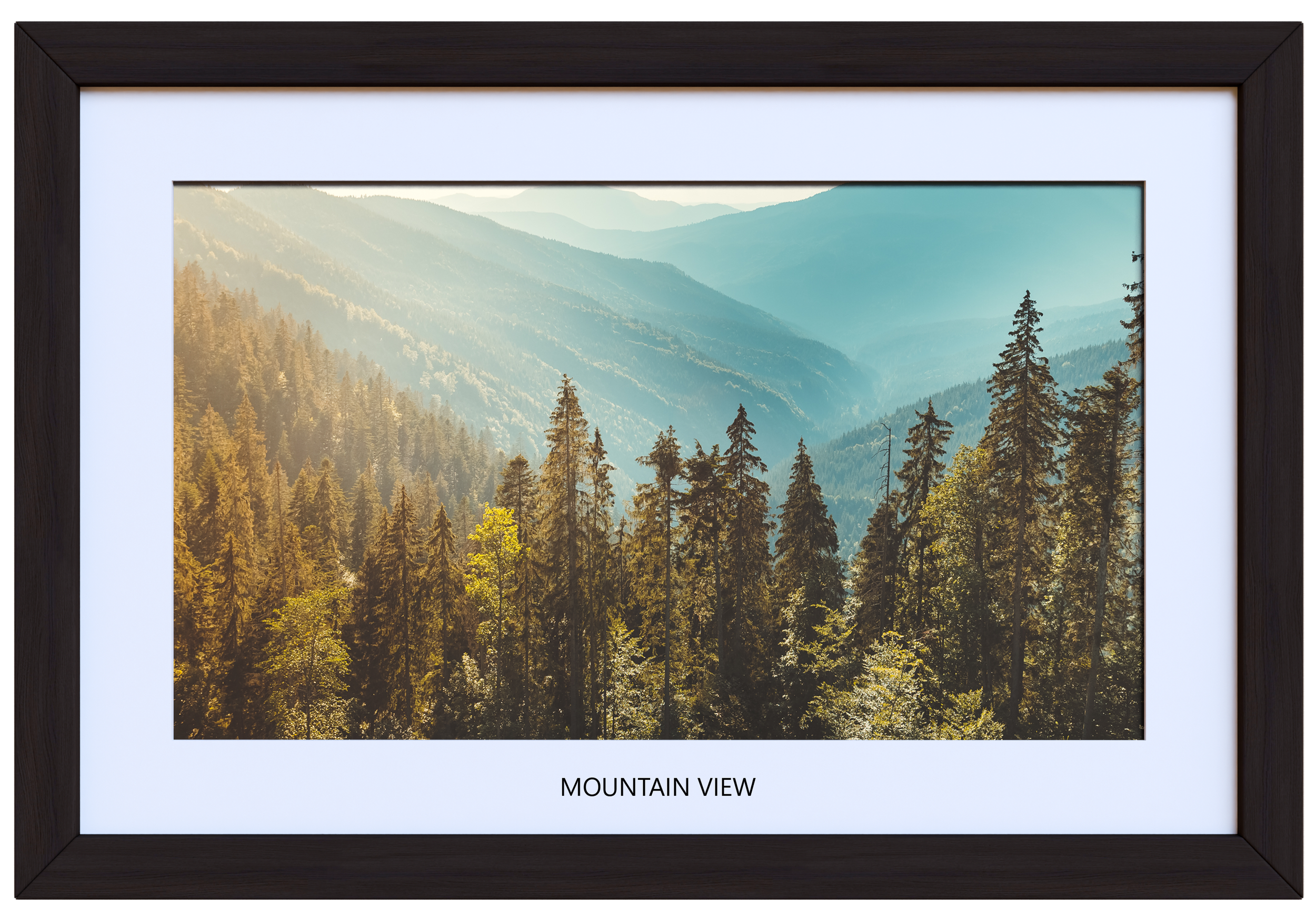 Mountain View 40 x 28 (with image title).png