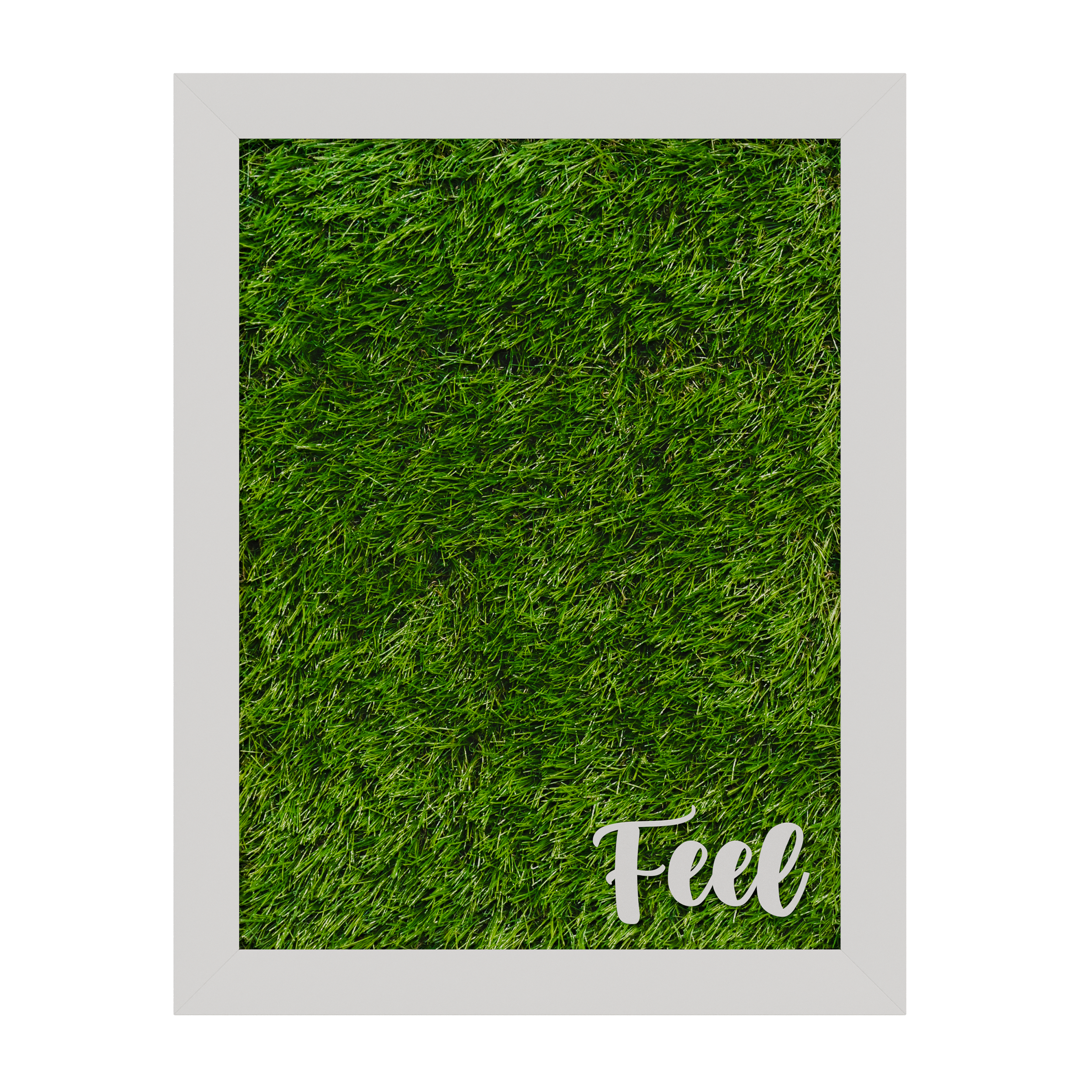 TA-FEEL_2.png