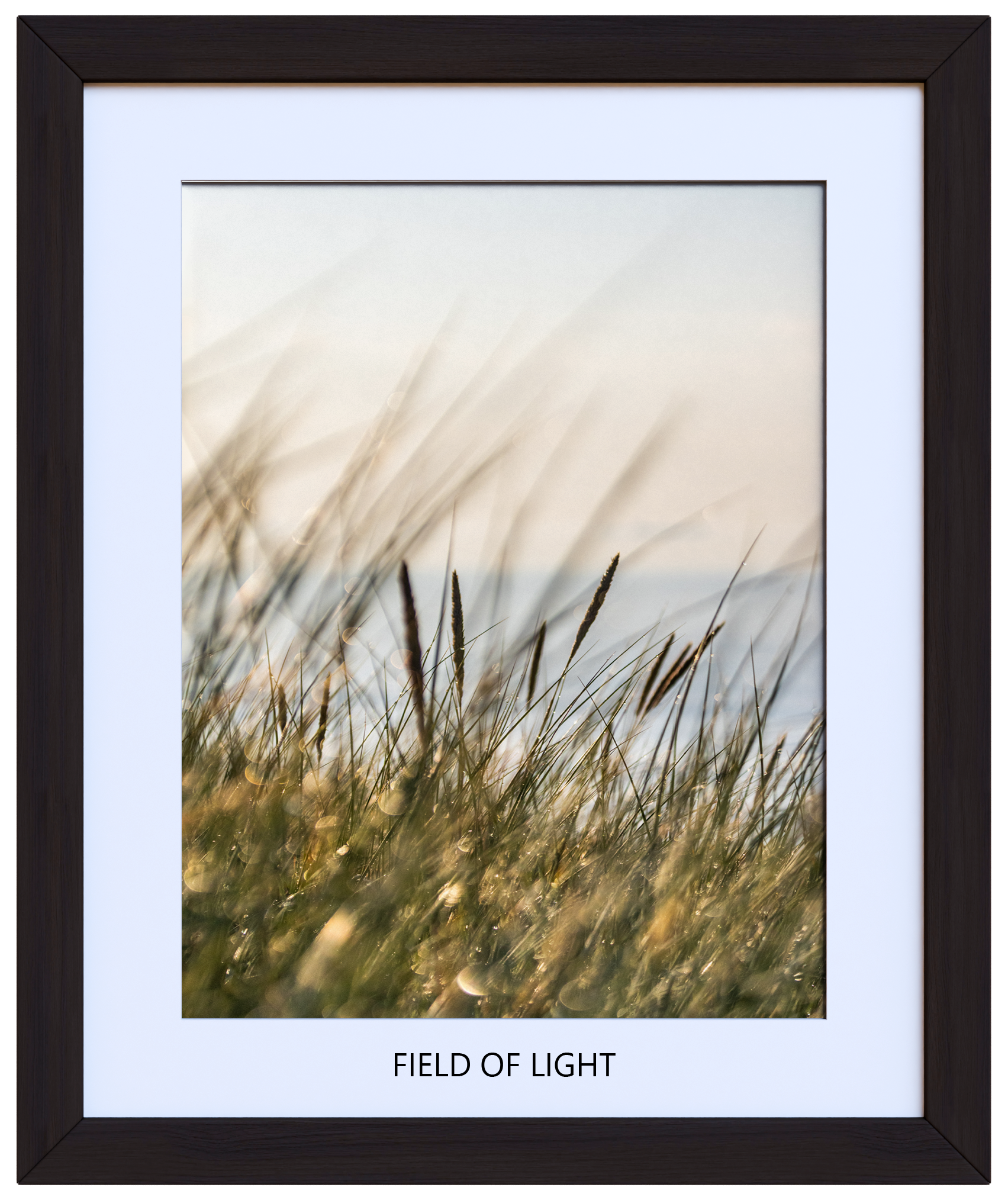 Field of Light 30 x 36 (with image title).png