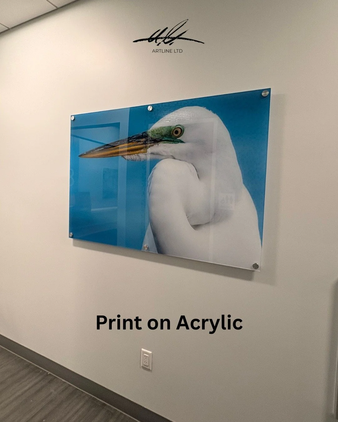 Transform Your Space. Elevate Your Vision.

Acrylic prints turn ordinary walls into striking visual statements&mdash;bringing your images to life with brilliant color, exceptional clarity, and a sleek, modern finish.

Perfect for offices, lobbies, an
