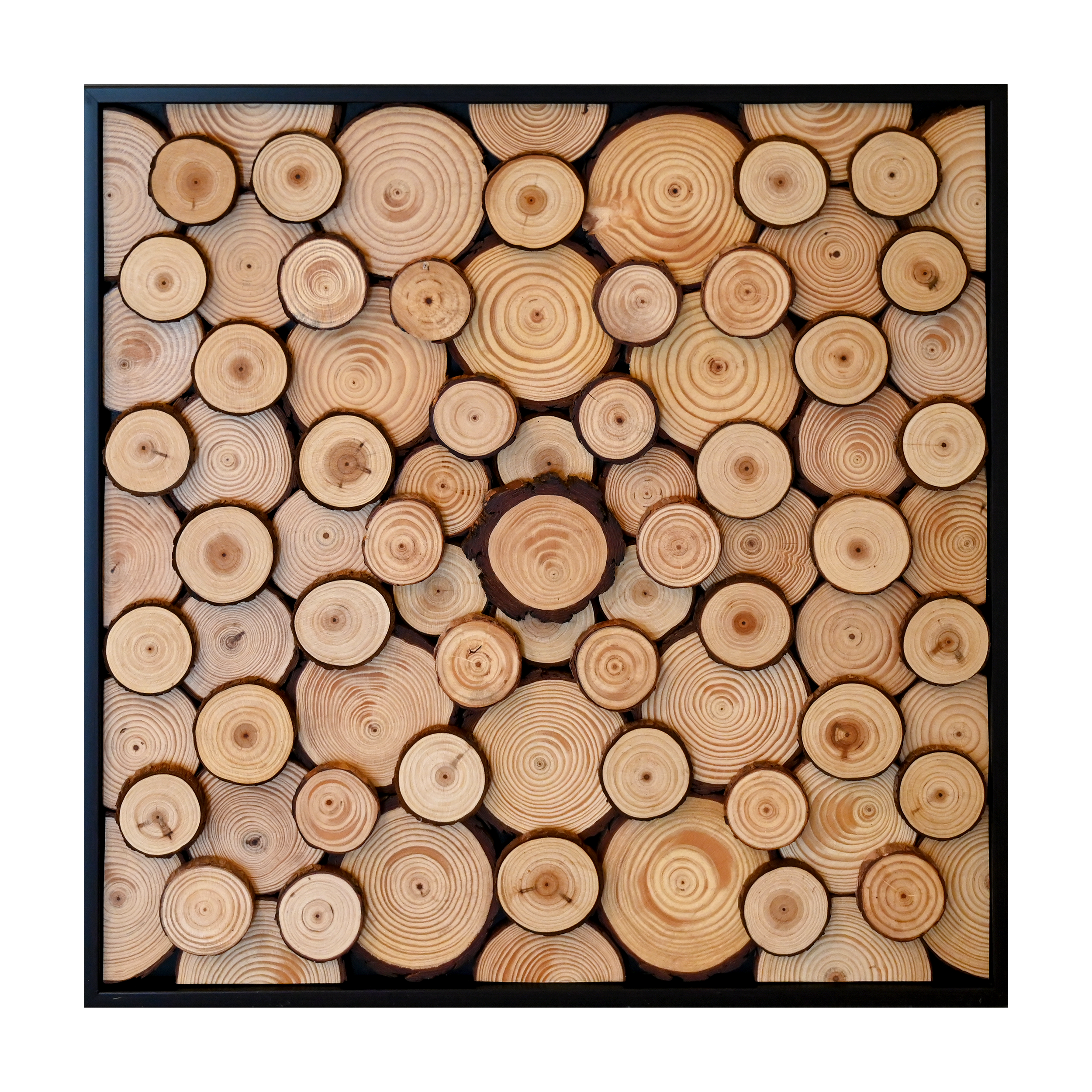 Tree Rings.png