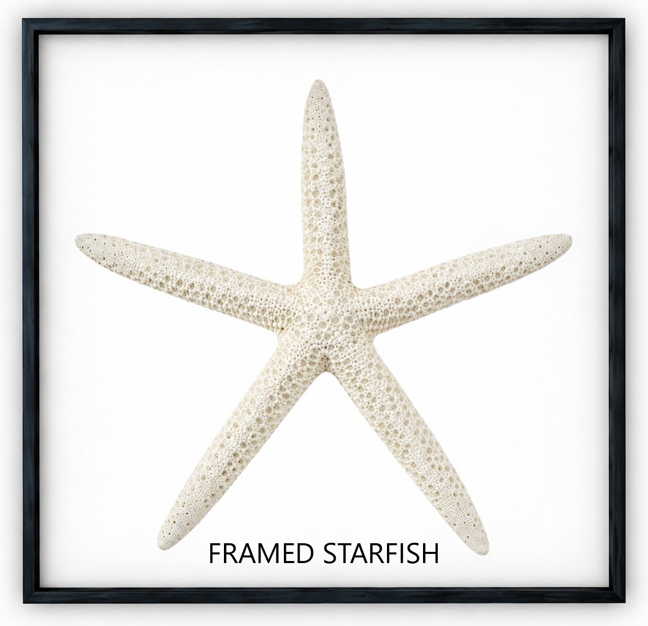 Framed Starfish (with image title).png