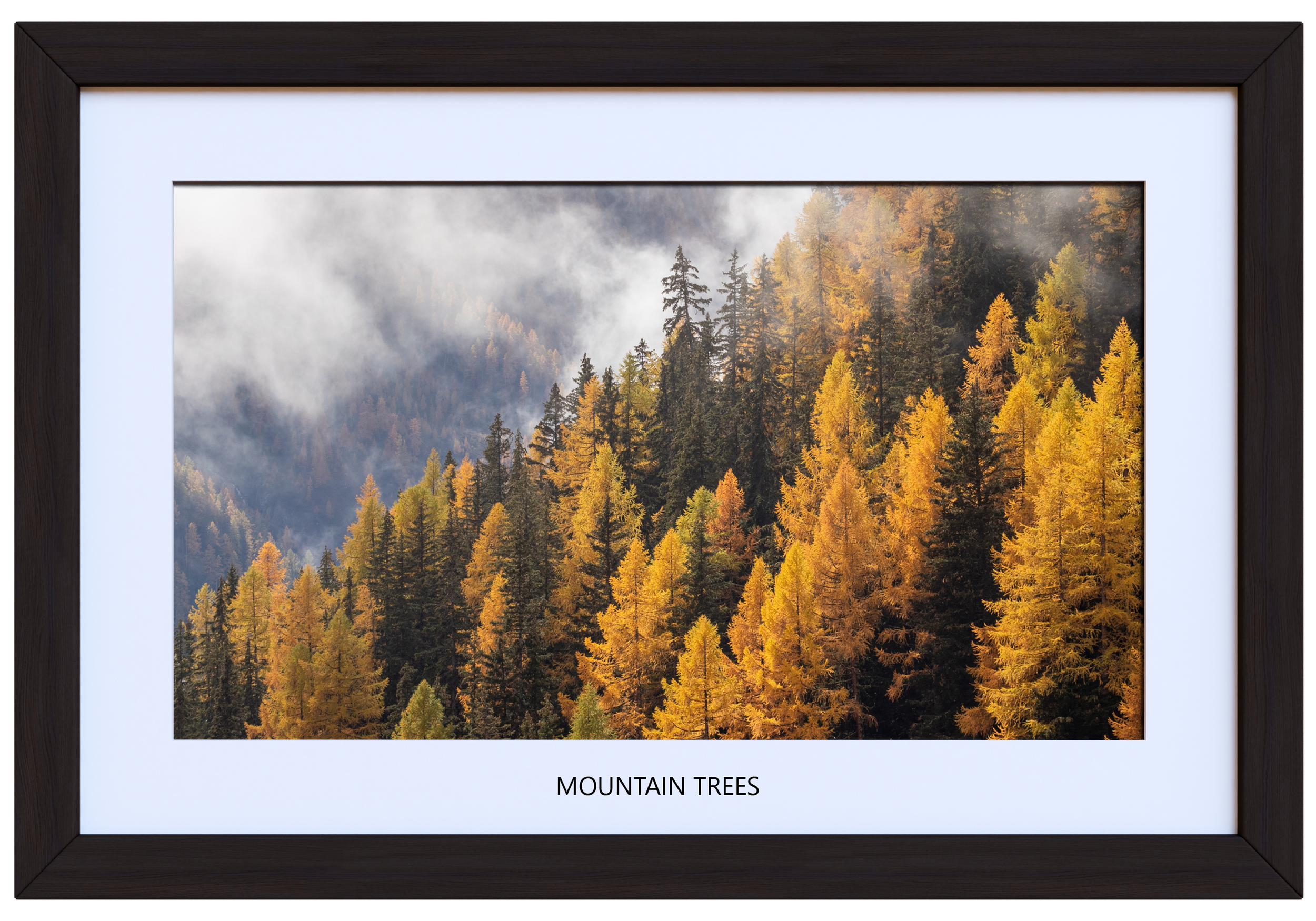 Mountain Trees 40 x 28 (with image title).png