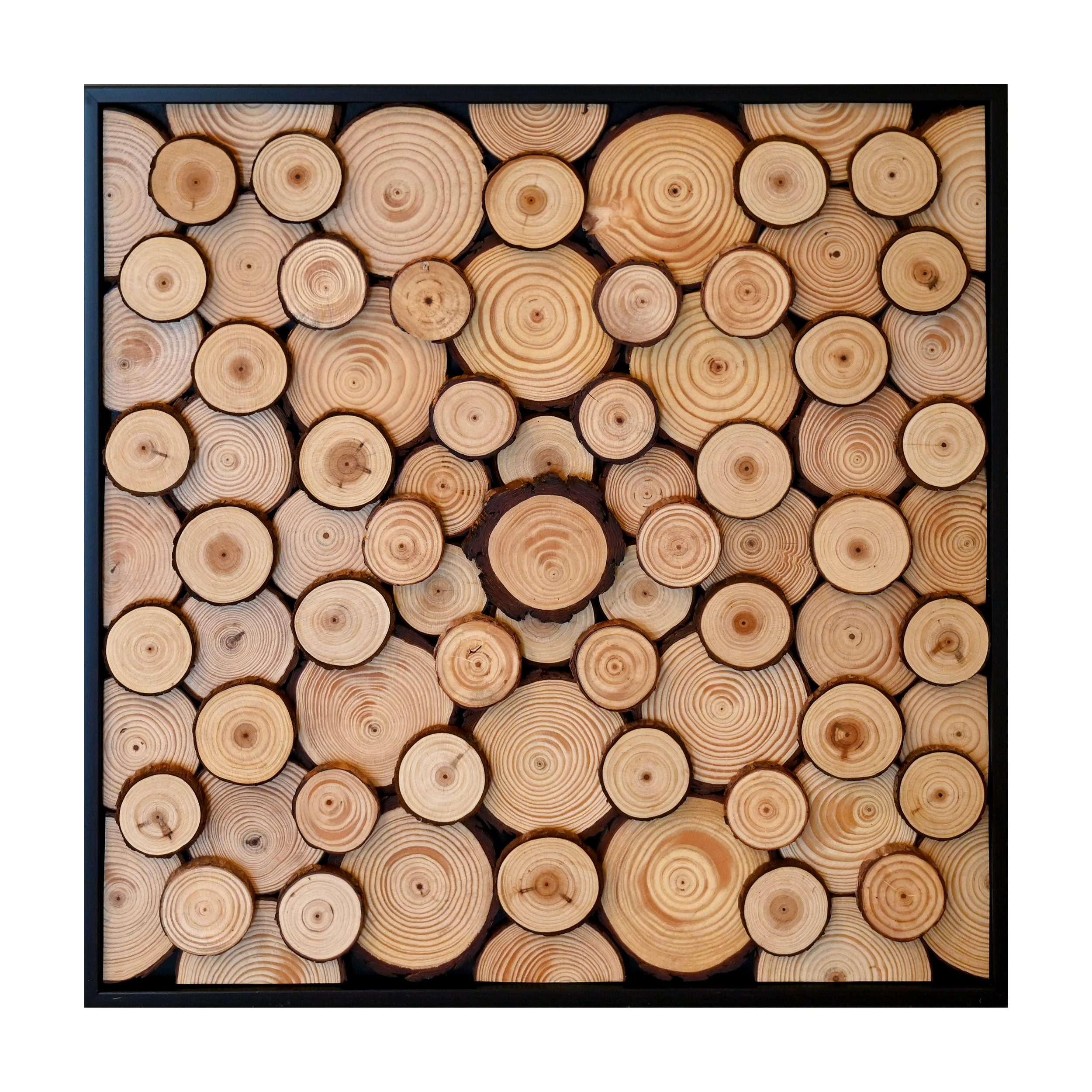Tree Rings.png