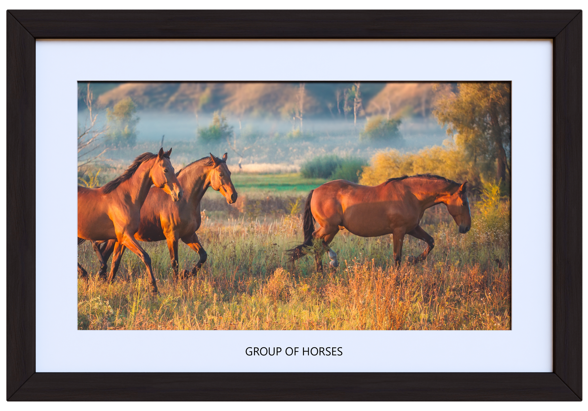 Group of Horses 40 x 28 (with image title).png