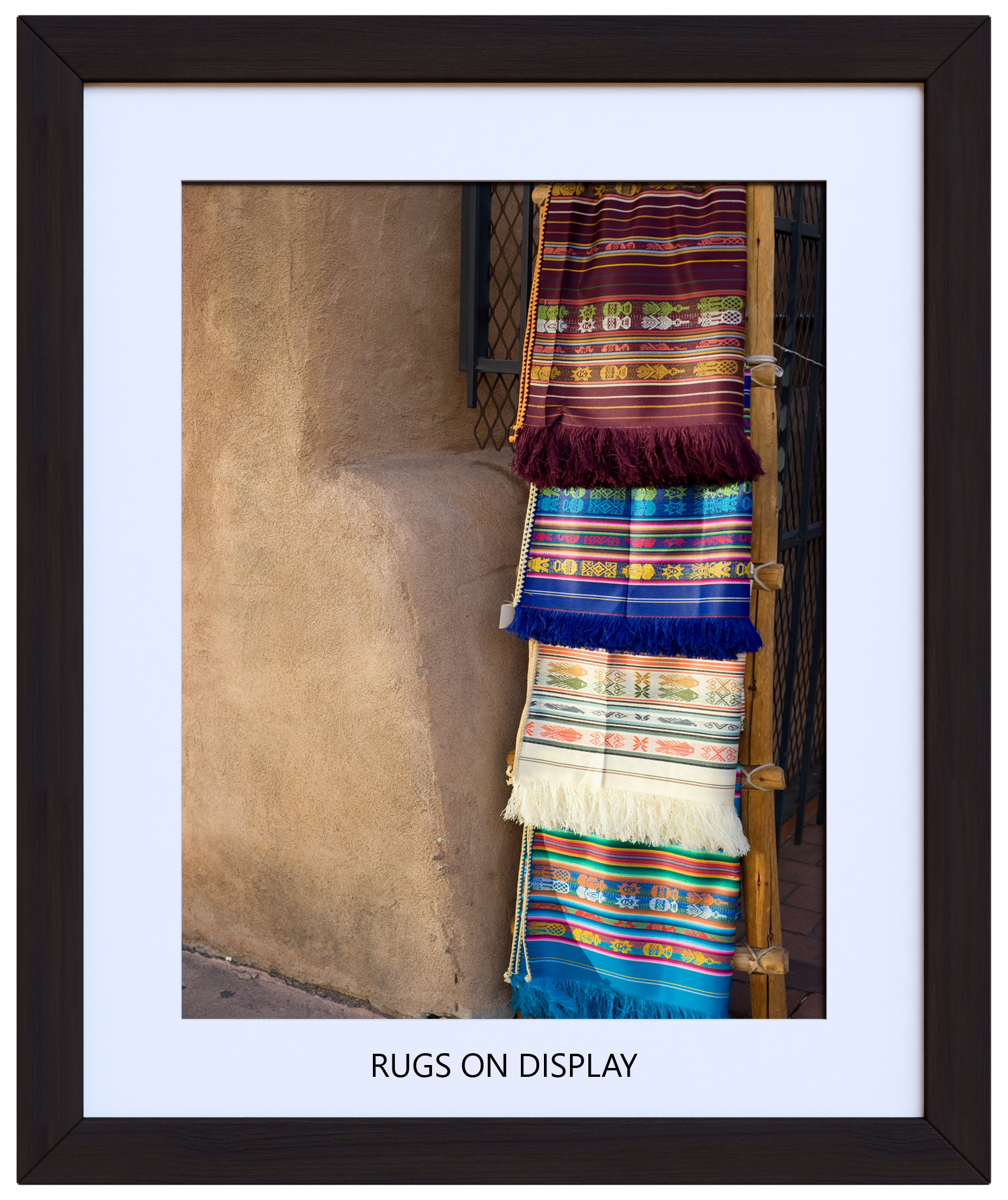 Rugs on Display 30 x 36 (with image title).png