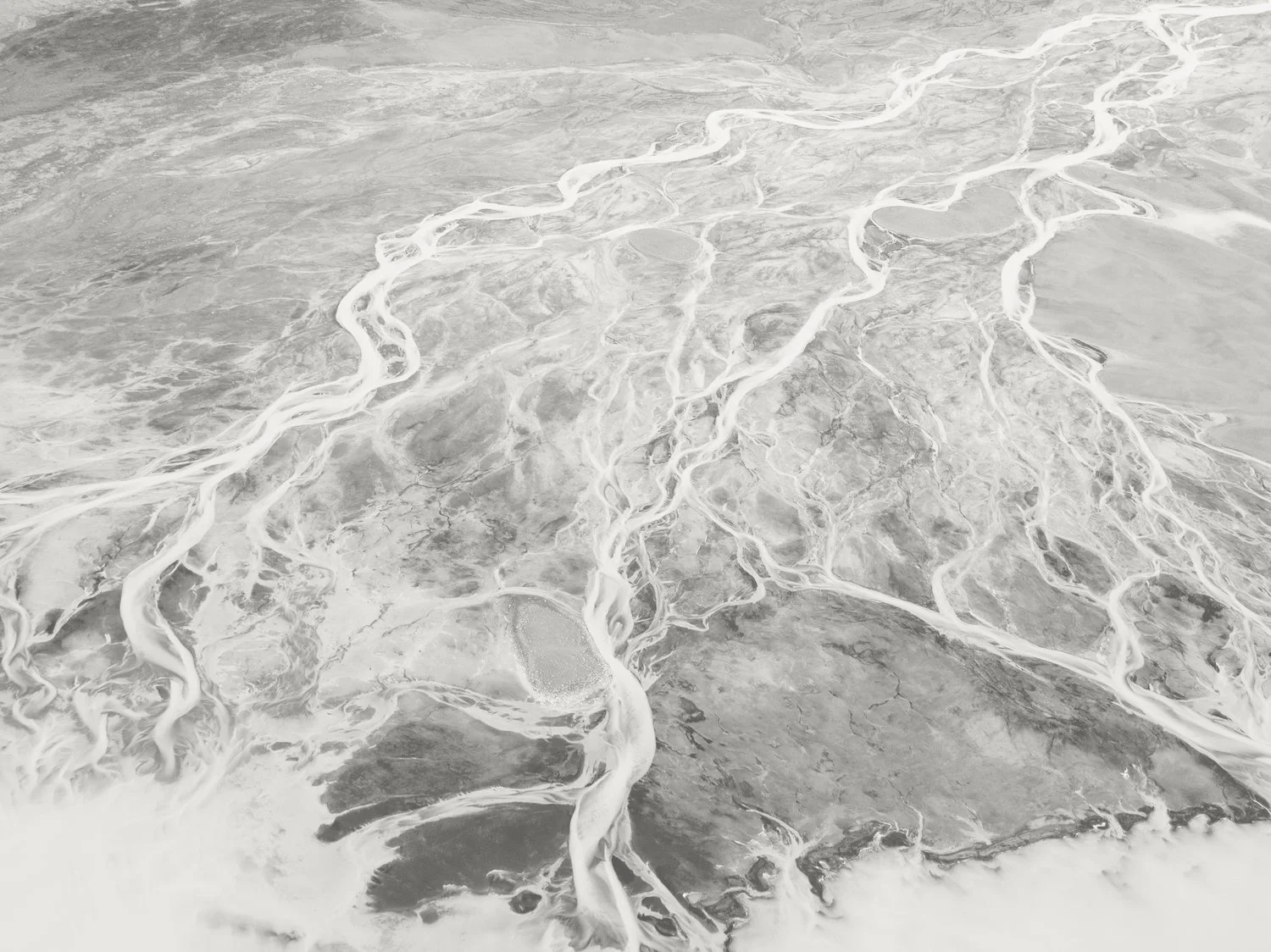 Vector Energy — Oil and Gas